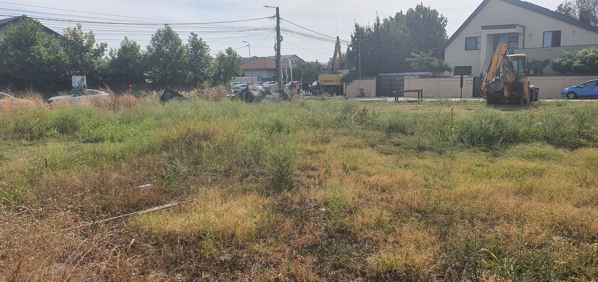 Ambrozie in Strada Mărgelelor nr.27, Bragadiru, Oraş Bragadiru, Județul Ilfov - 20250906_103530.jpg