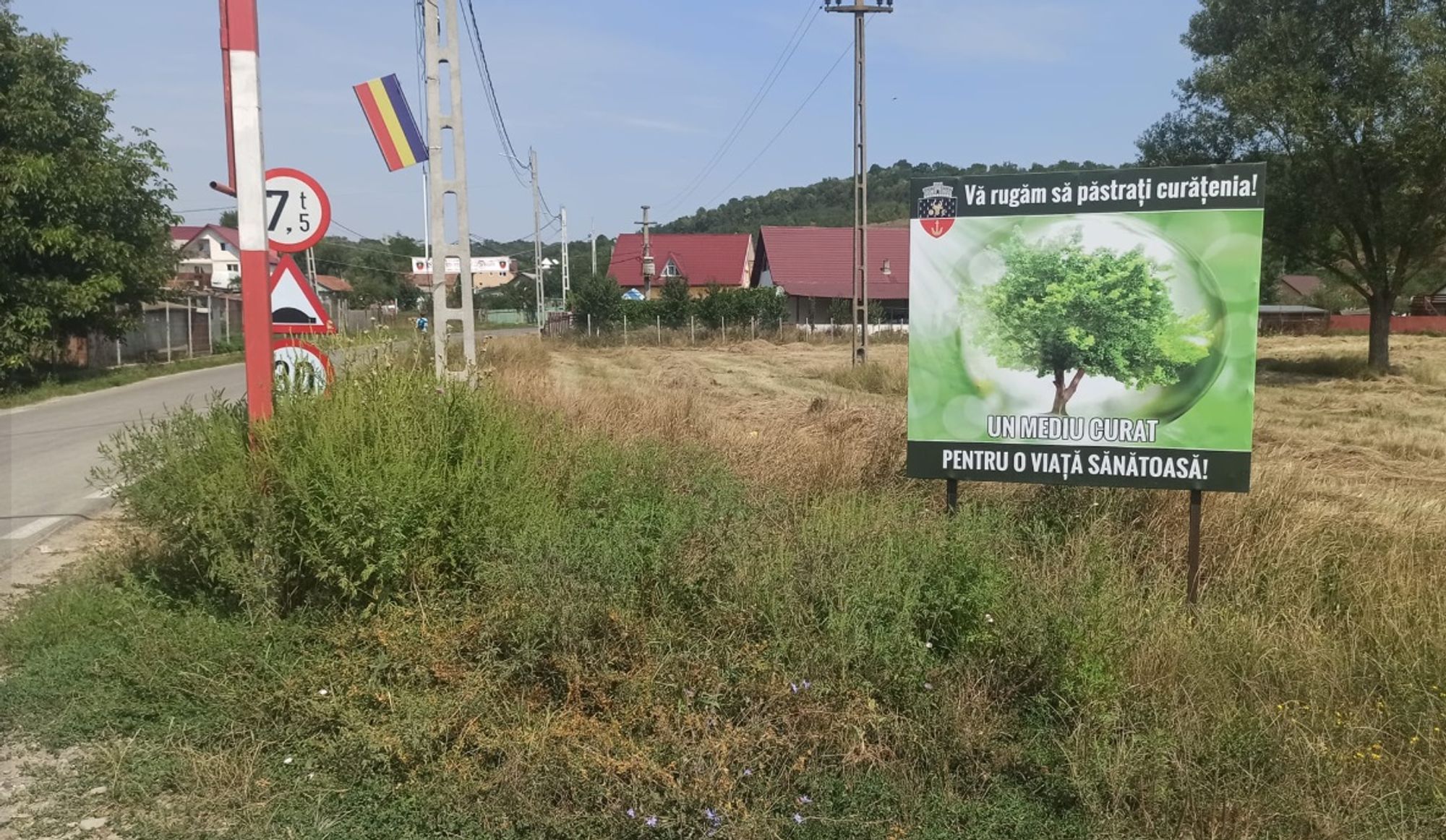 Ambrozie in DJ248D 54, Cercu, Comuna Bârnova, Județul Iași - ambrozie.jpg