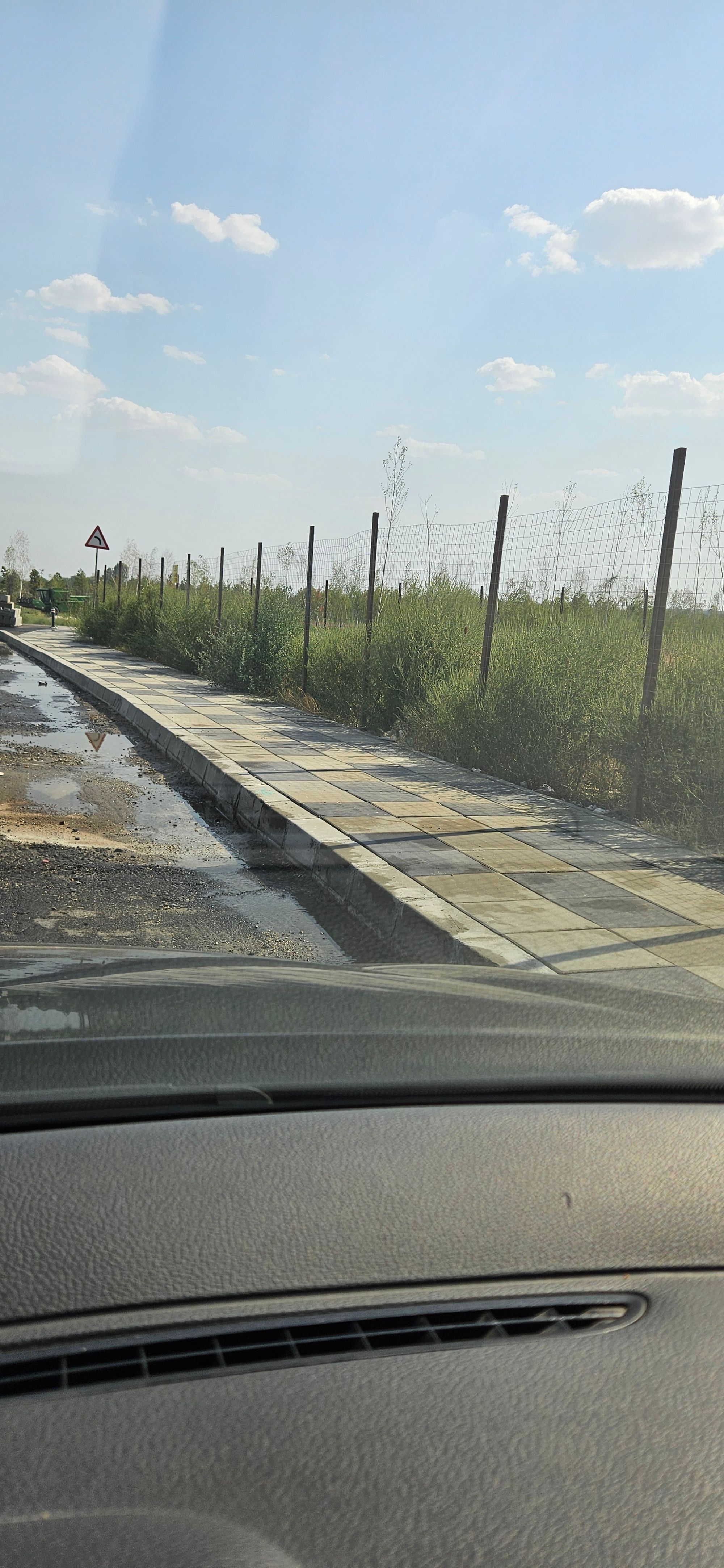 Ambrozie in DJ401A 90, Bragadiru, Oraş Bragadiru, Județul Ilfov - 1000005338.jpg