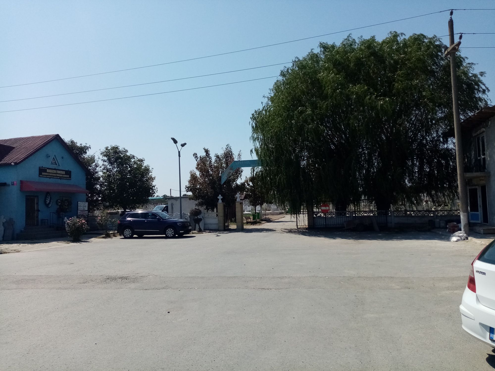 Ambrozie in Strada Portului 30, Ovidiu, Oraş Ovidiu, Județul Constanța - IMG_20230828_131519.jpg