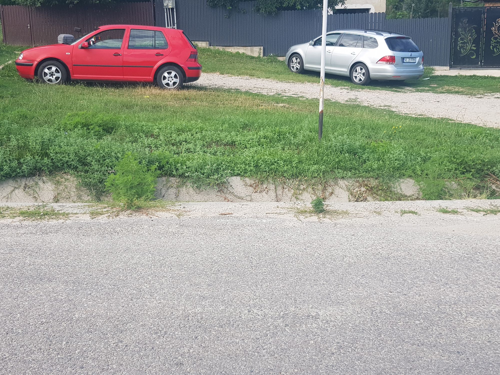Ambrozie in Strada Surpatele 19, Moşteni, Comuna Frâncești, Județul Vâlcea - 1783435295616540645587189244679.jpg