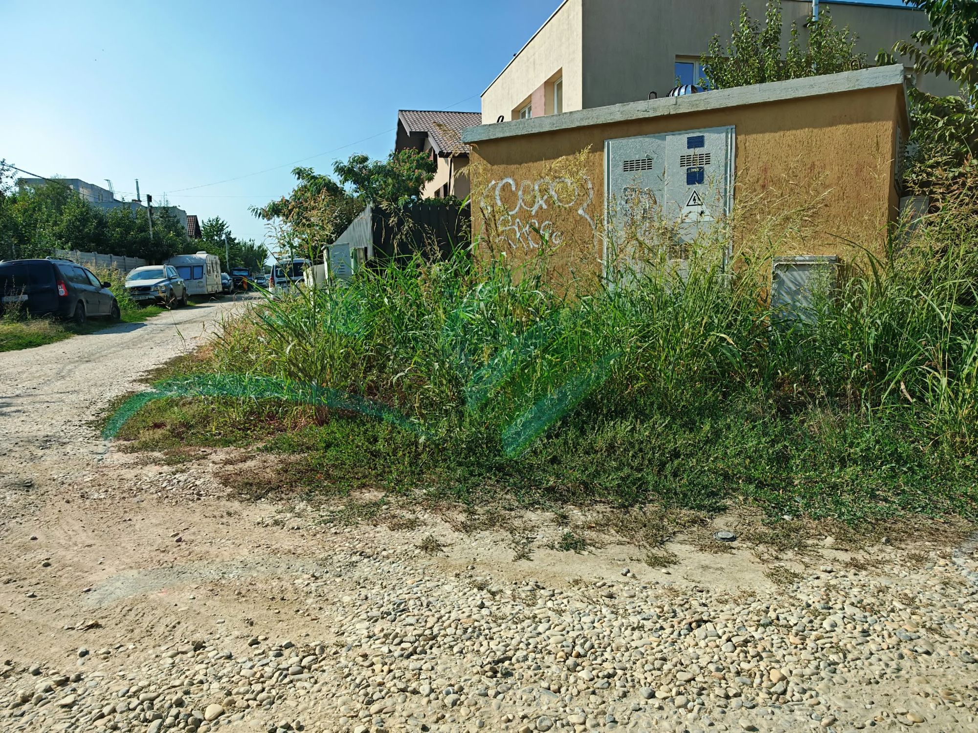 Ambrozie in Strada Speranței 28, Berceni, Comuna Berceni, Județul Ilfov