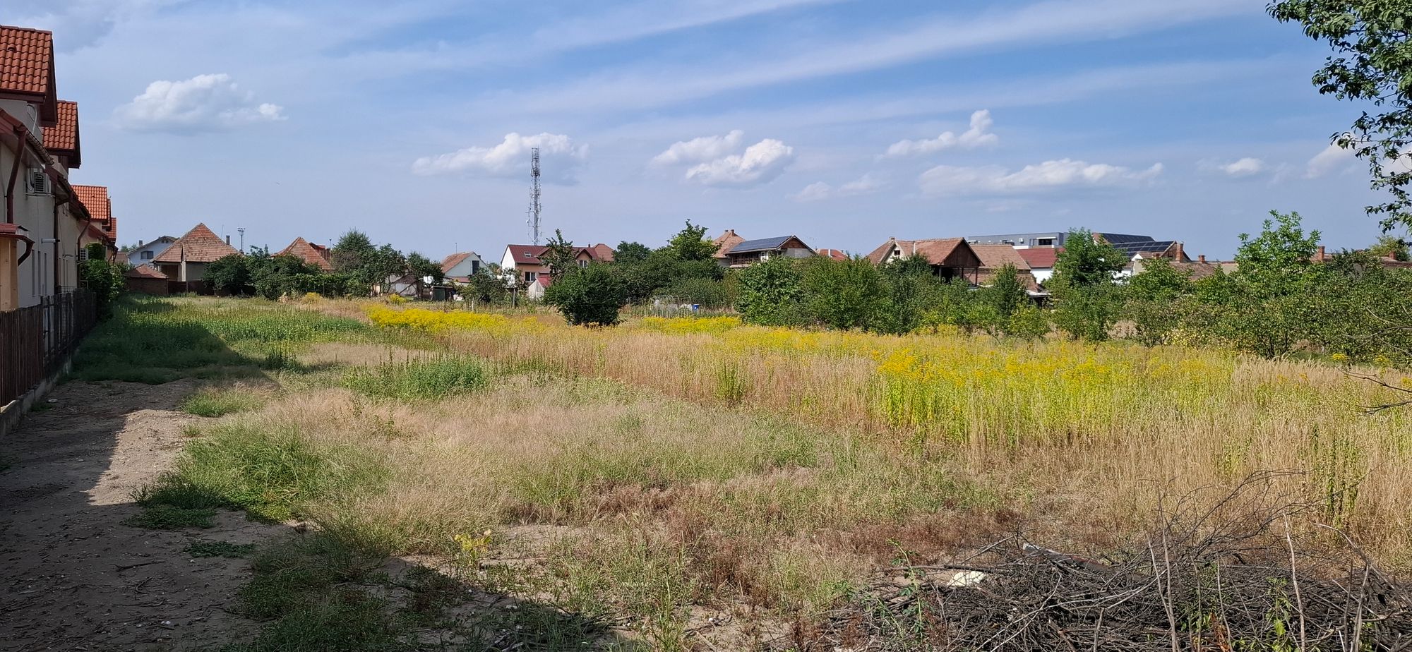 Ambrozie in Strada Partenie Cosma 27, Sibiu, Municipiu Sibiu, Județul Sibiu