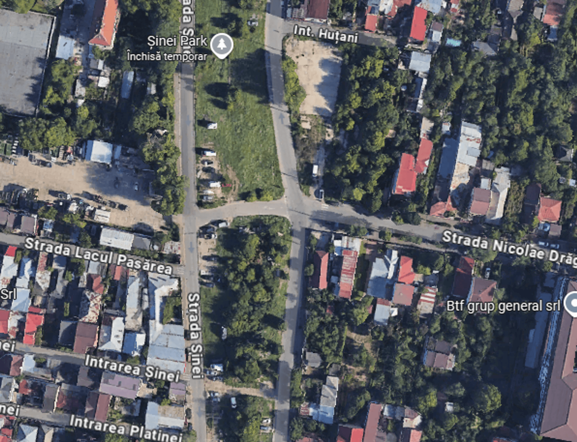 Ambrozie in Strada Cristea Ionescu 29, București, Municipiul București - 2025-09-11 (1).png