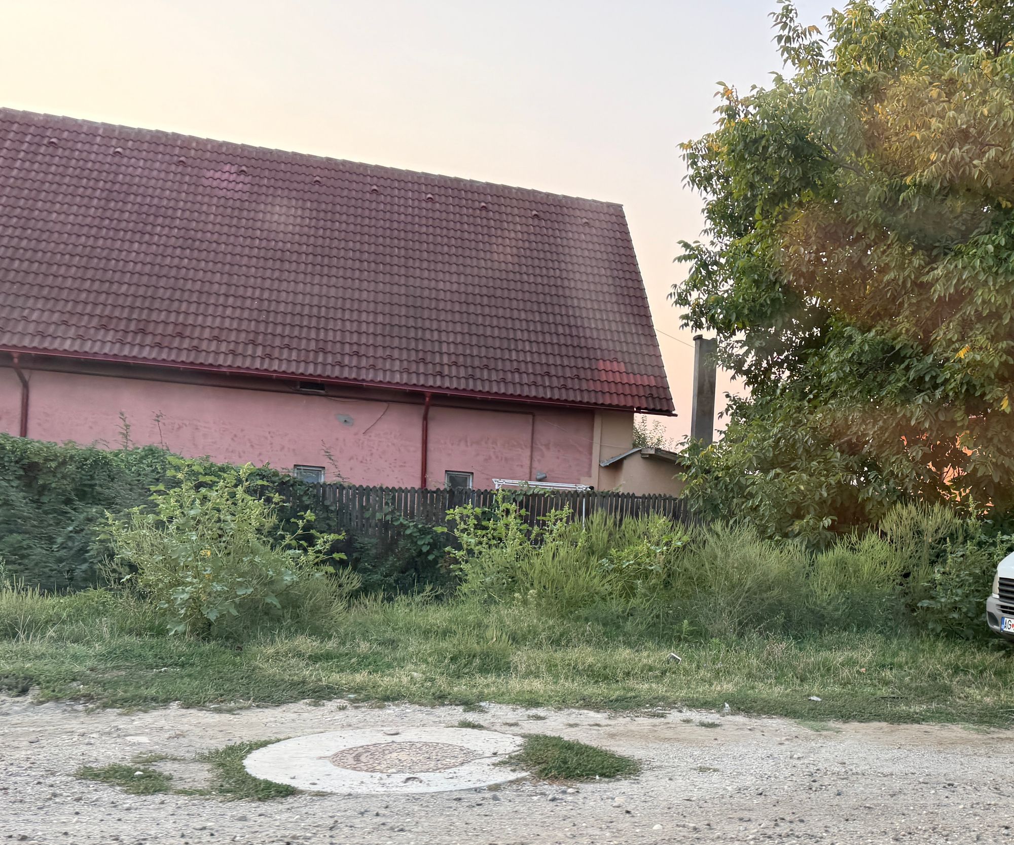 Ambrozie in Strada Sticlelor 5, Ștefăneștii Noi, Oraș Ștefănești, Județul Argeș