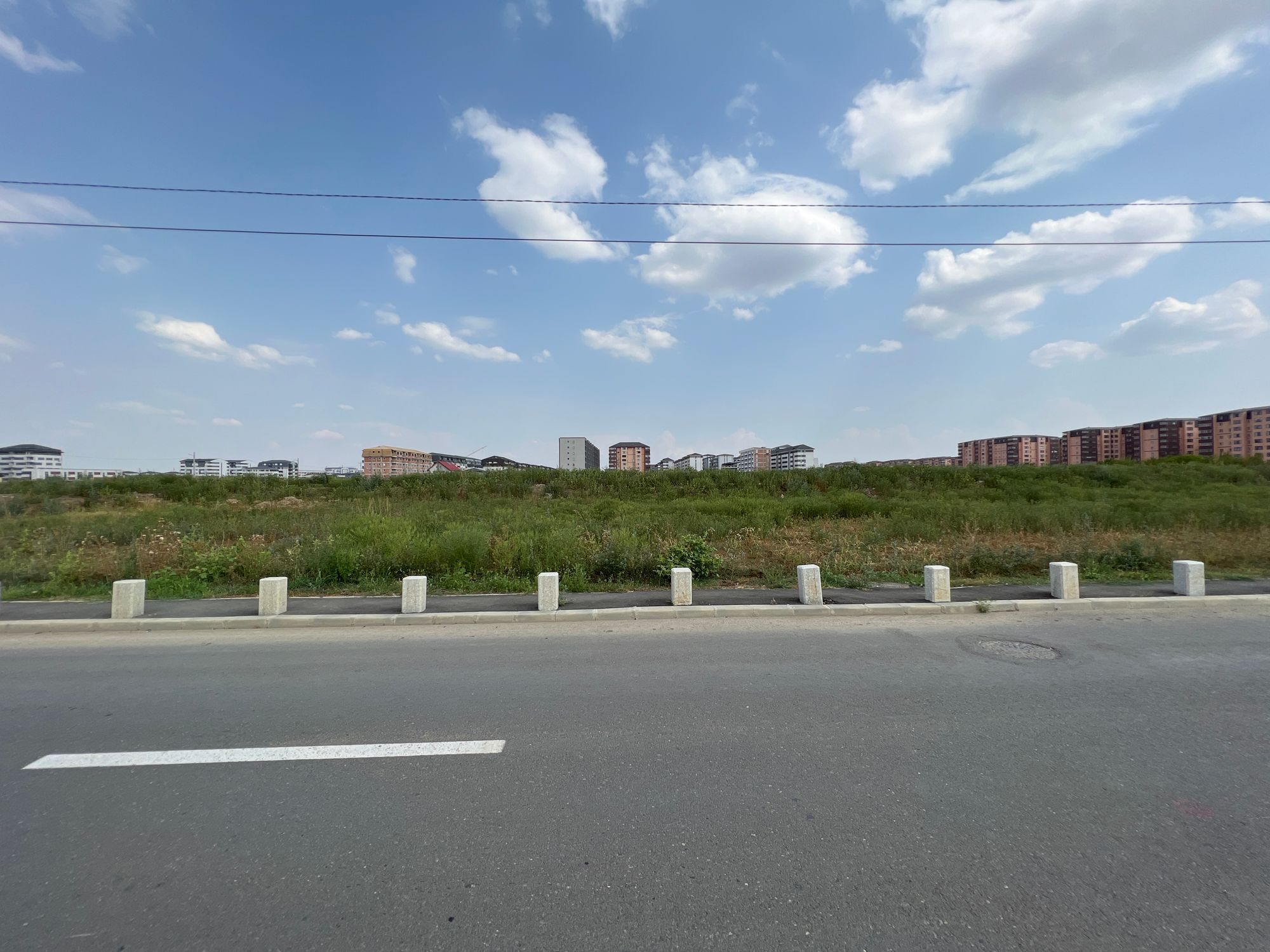 Ambrozie in Chiajna, Ilfov County - image.jpg