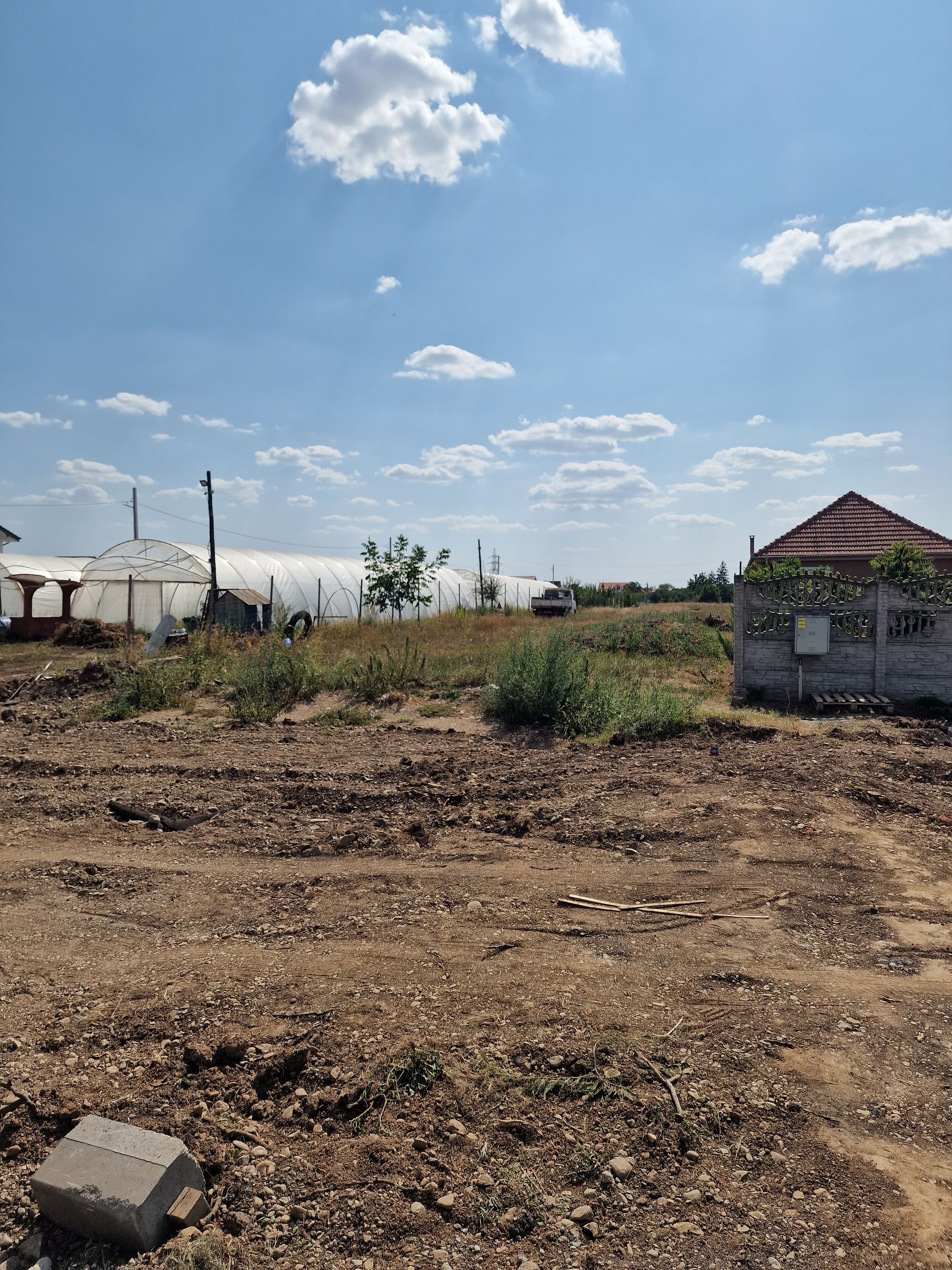 Ambrozie in Nordului 6, Sîntandrei, Comuna Sântandrei, Județul Bihor