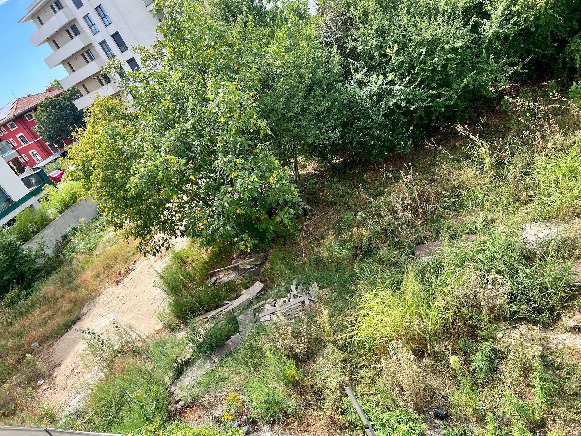Ambrozie in Intrarea Străulești 11-13, București, Municipiul București