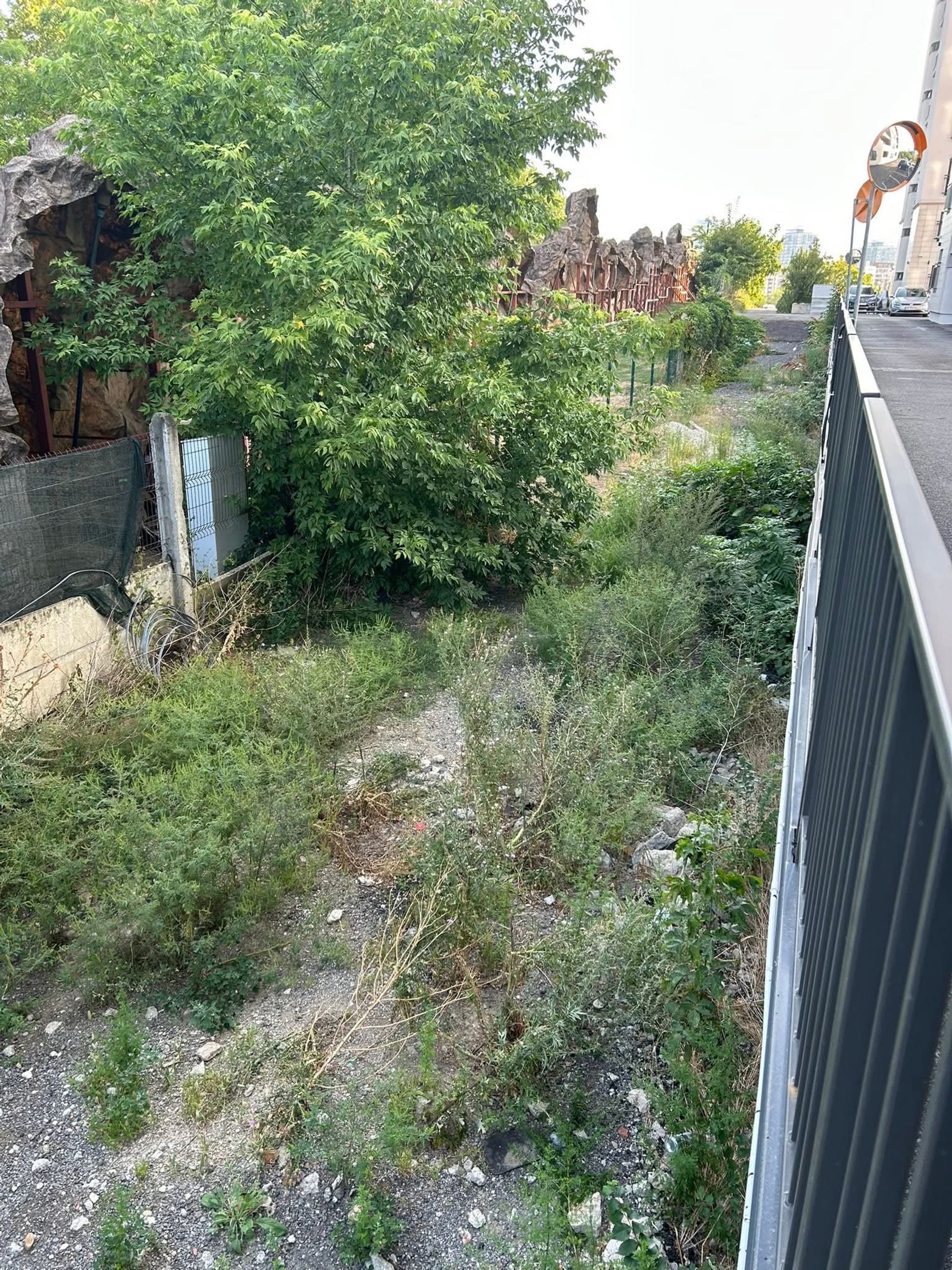 Ambrozie in Intrarea Urcuşului 23 - 27, București, Municipiul București - FB_IMG_1757263394585.jpg