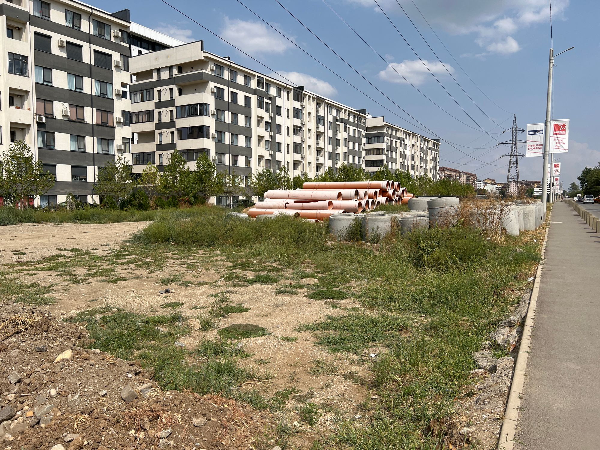 Ambrozie in Strada Sergent Ilie Petre 100B, Chiajna, Comuna Chiajna, Județul Ilfov - image.jpg