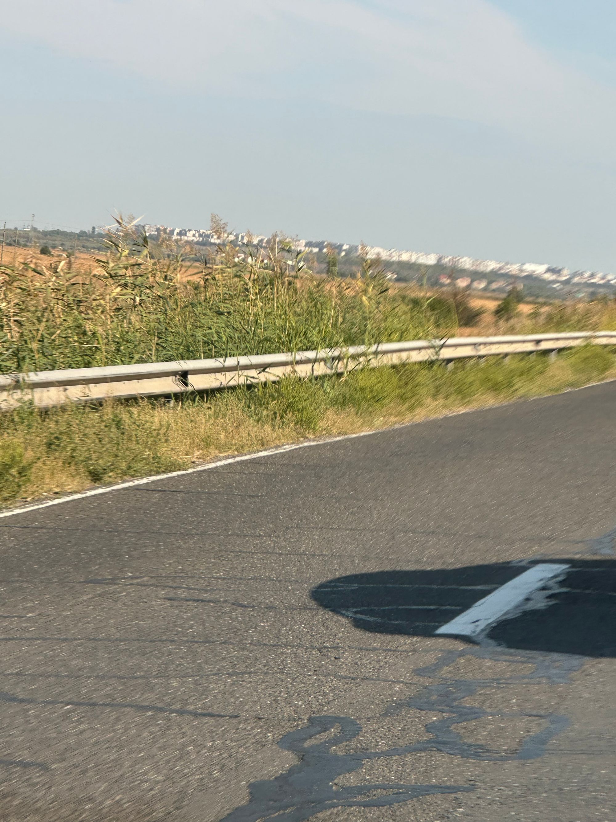 Ambrozie in Brăila, Județul Brăila - IMG_7077.jpeg