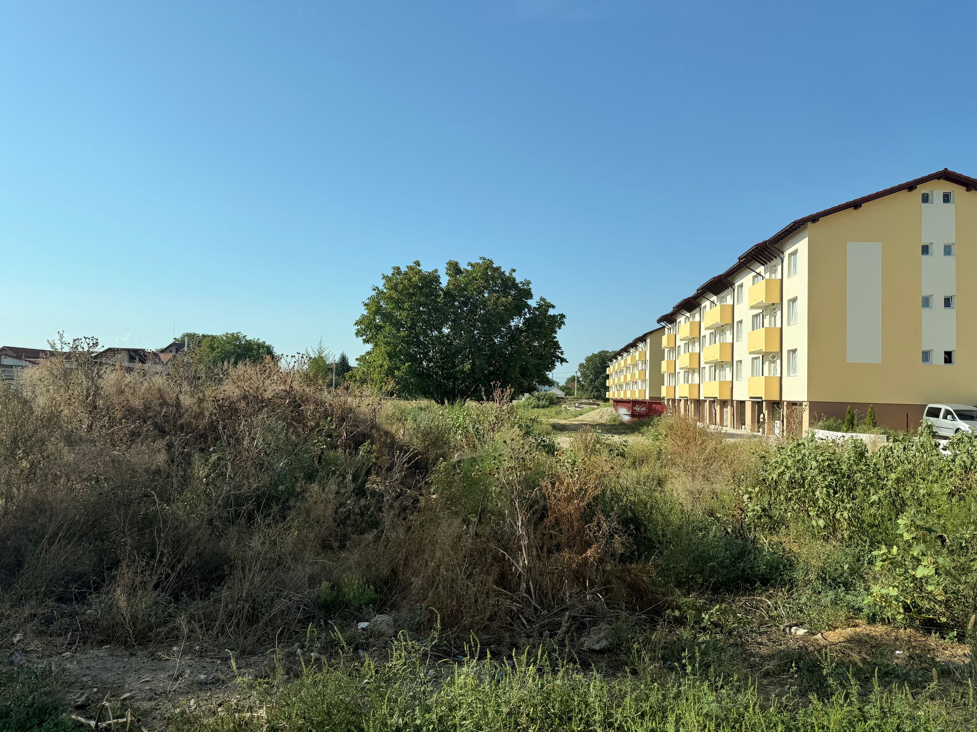 Ambrozie in Strada Costache Negruzzi 50, Alba Iulia, Municipiu Alba Iulia, Județul Alba