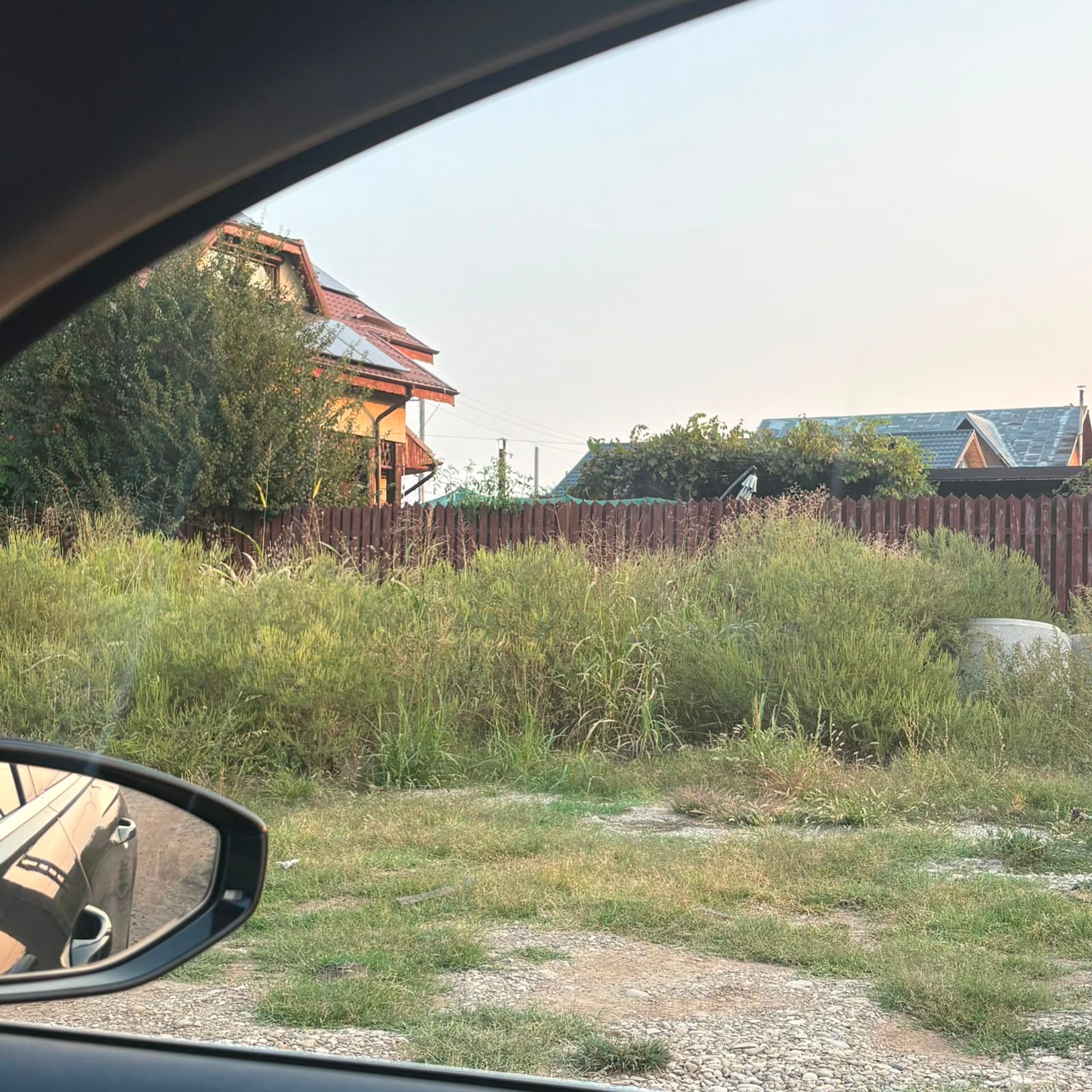 Ambrozie in Strada Cerbului 79, Strejnicu, Comuna Târgșoru Vechi, Județul Prahova - WhatsApp Image 2026-09-14 at 14.15.33.jpeg