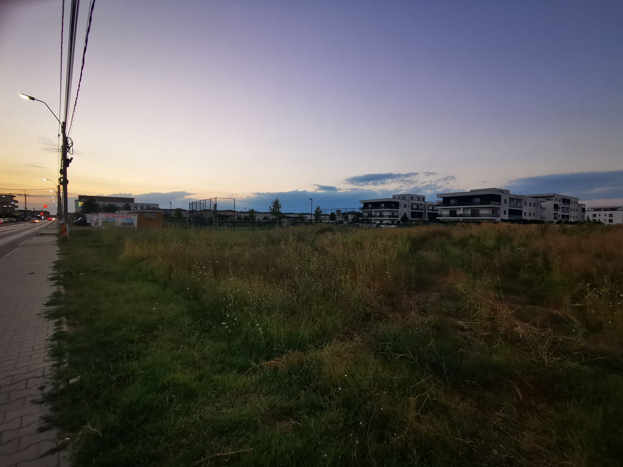 Ambrozie in Strada 1 Decembrie 167, Tunari, Comuna Tunari, Județul Ilfov