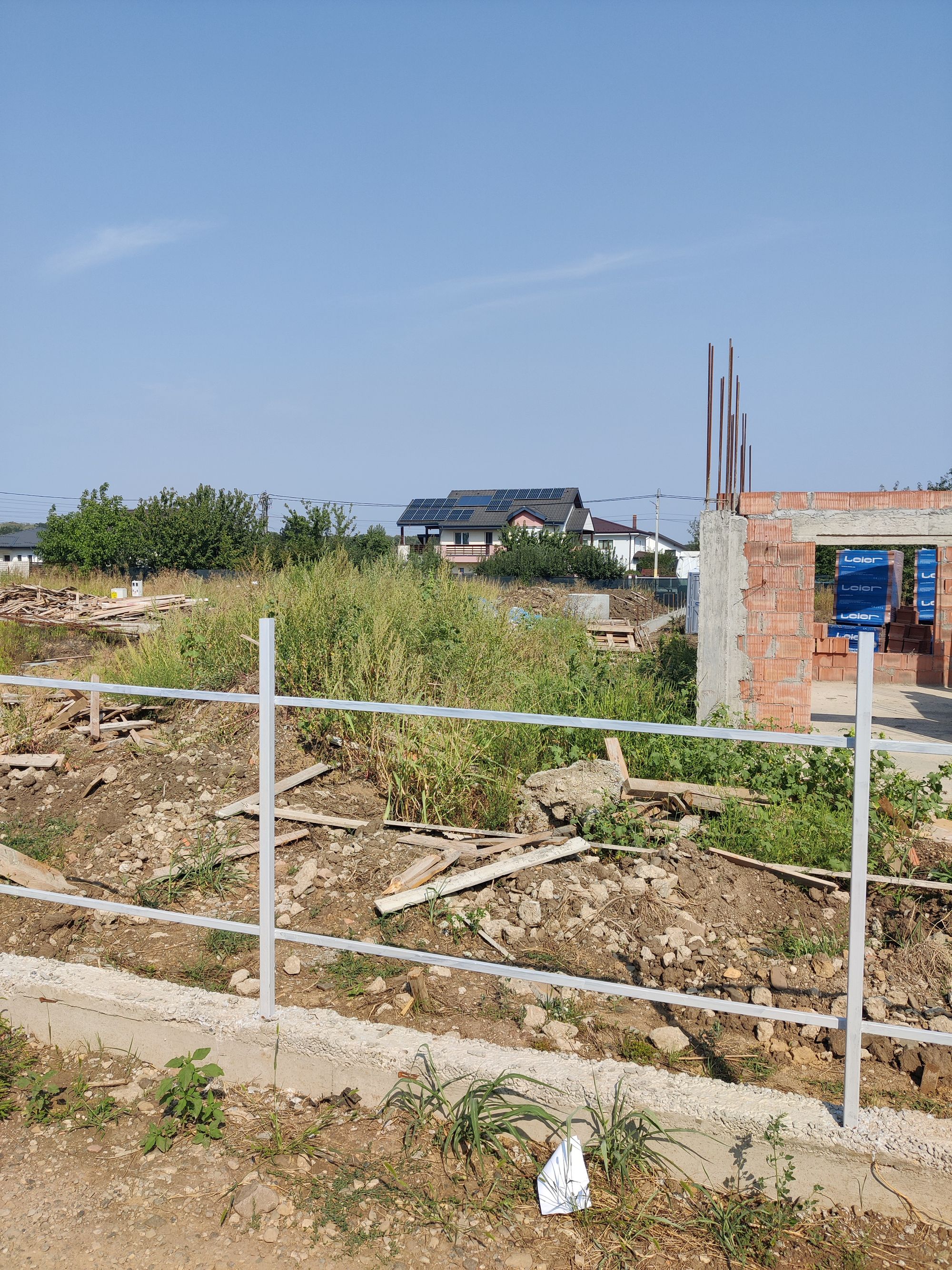 Ambrozie in Strada Mihai Eminescu 11A, Valea Ursului, Comuna Miroslava, Județul Iași - 1000041861.jpg