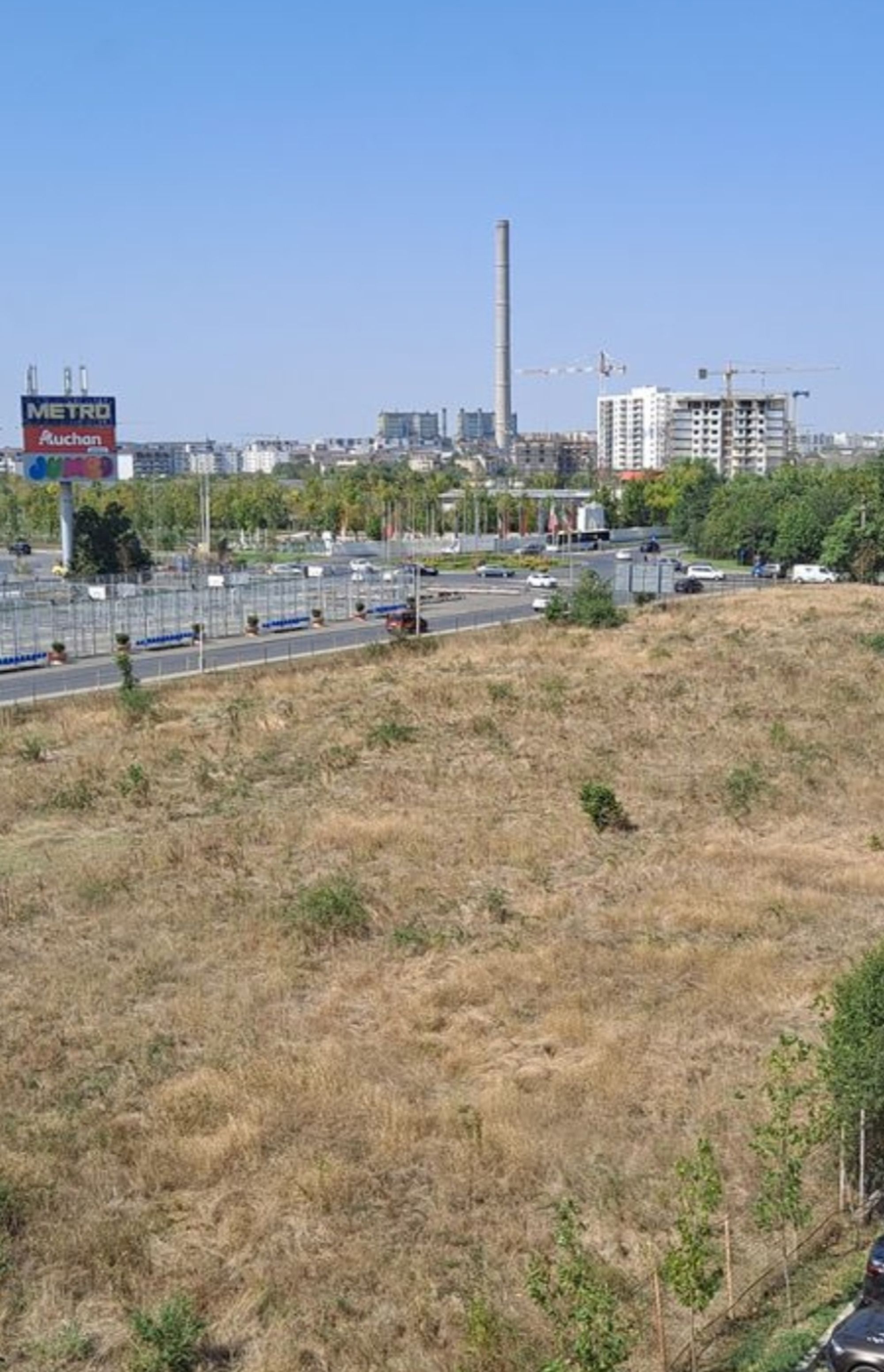 Ambrozie in Bulevardul Metalurgiei 130G, București, Municipiul București - inbound2355131288564708363.jpg