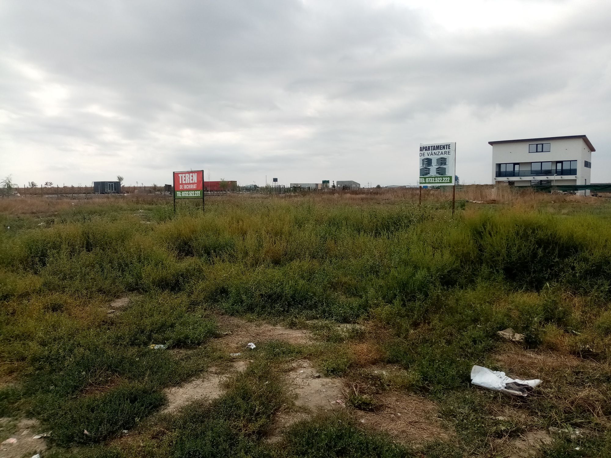 Ambrozie in Strada Castanilor 1, Ovidiu, Oraş Ovidiu, Județul Constanța - IMG_20230831_115037.jpg