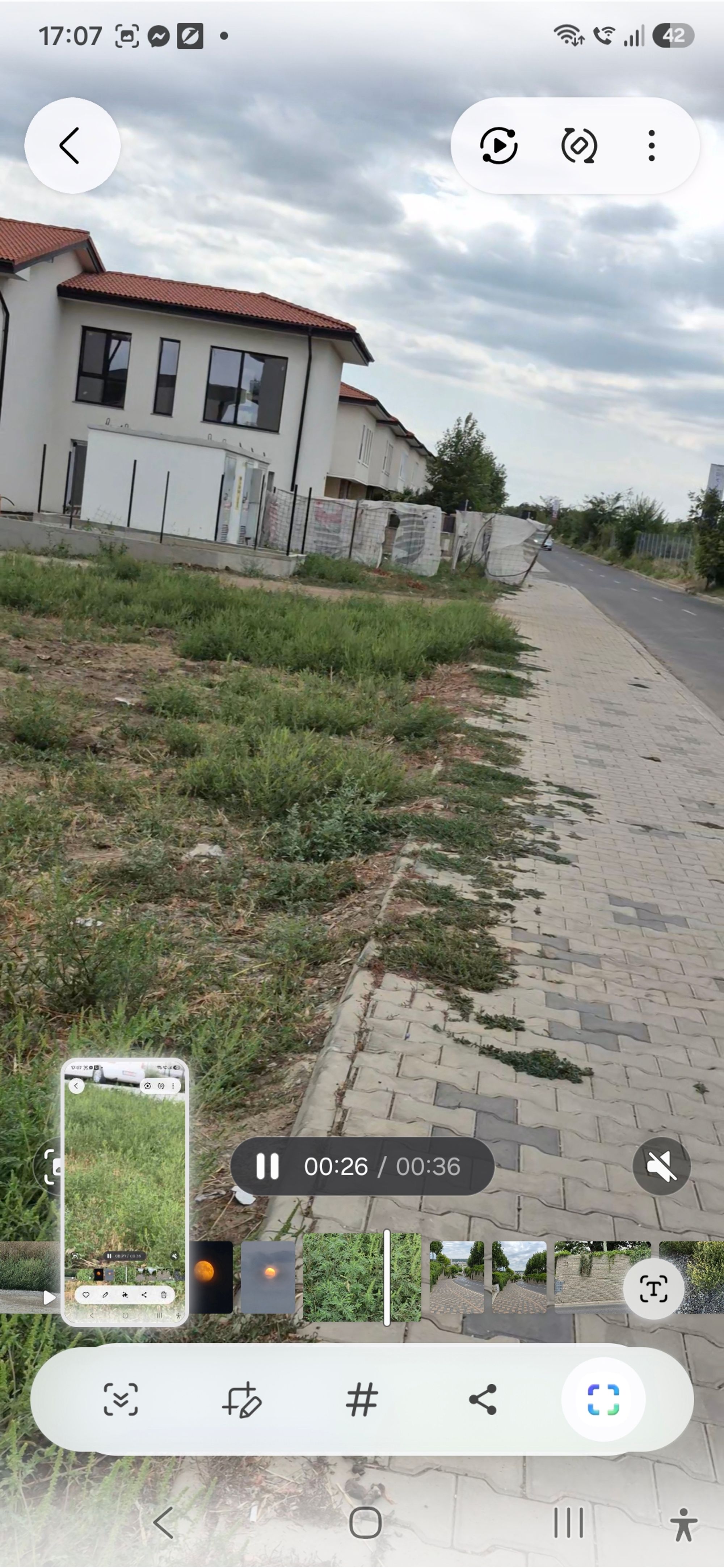 Ambrozie in Soseaua Iași-voinesti 25, Iași, Municipiu Iași, Județul Iași