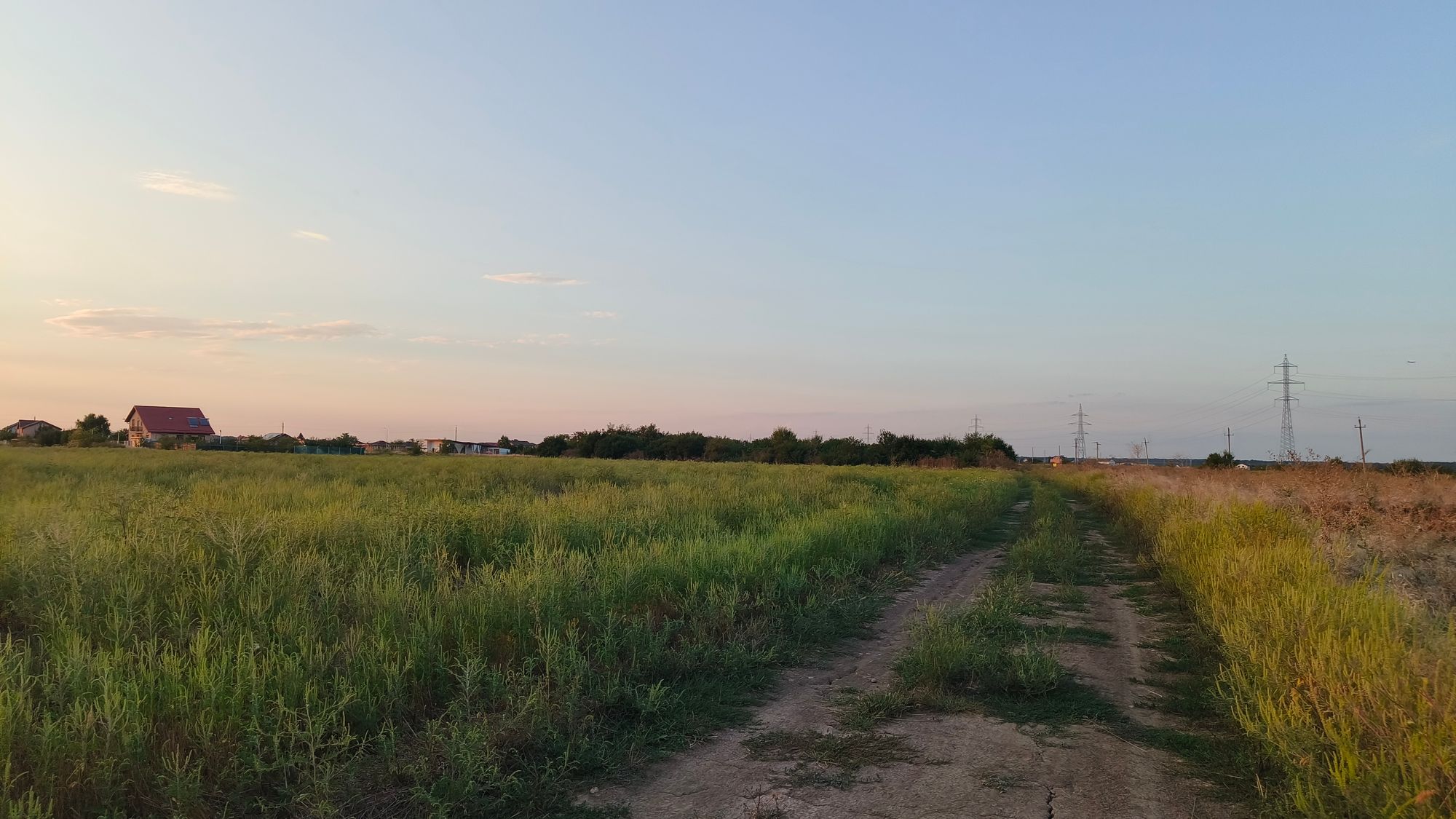 Ambrozie in Săbăreni, Comuna Săbăreni, Județul Giurgiu