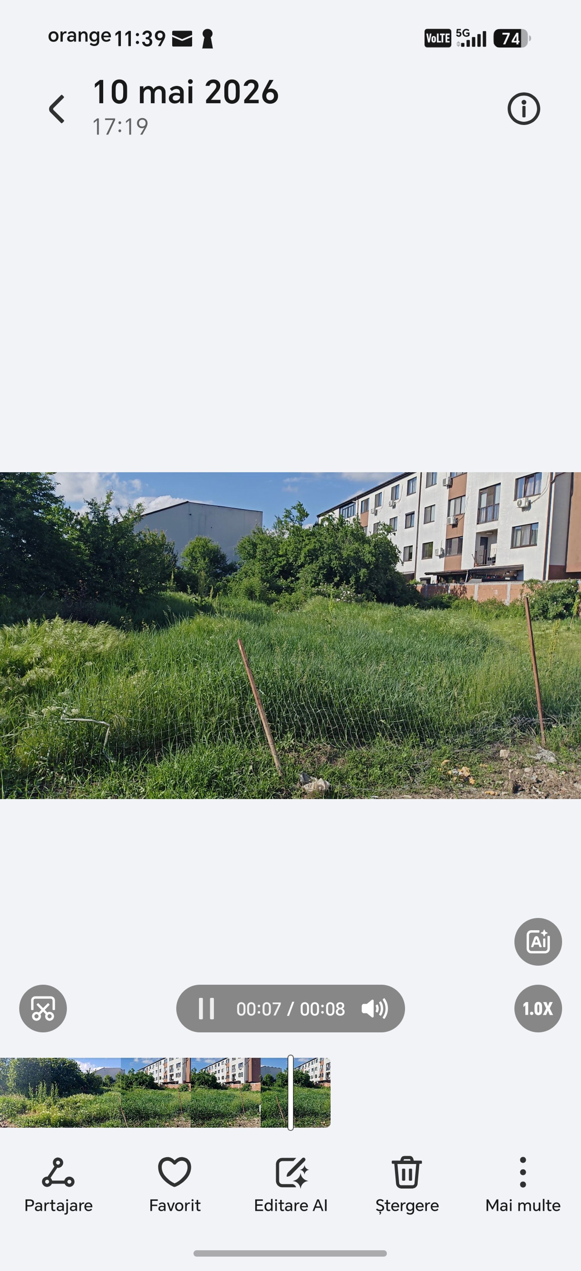 Ambrozie in Strada Toamnei 45C, Bragadiru, Oraș Bragadiru, Județul Ilfov - inbound4560914504870460564.jpg