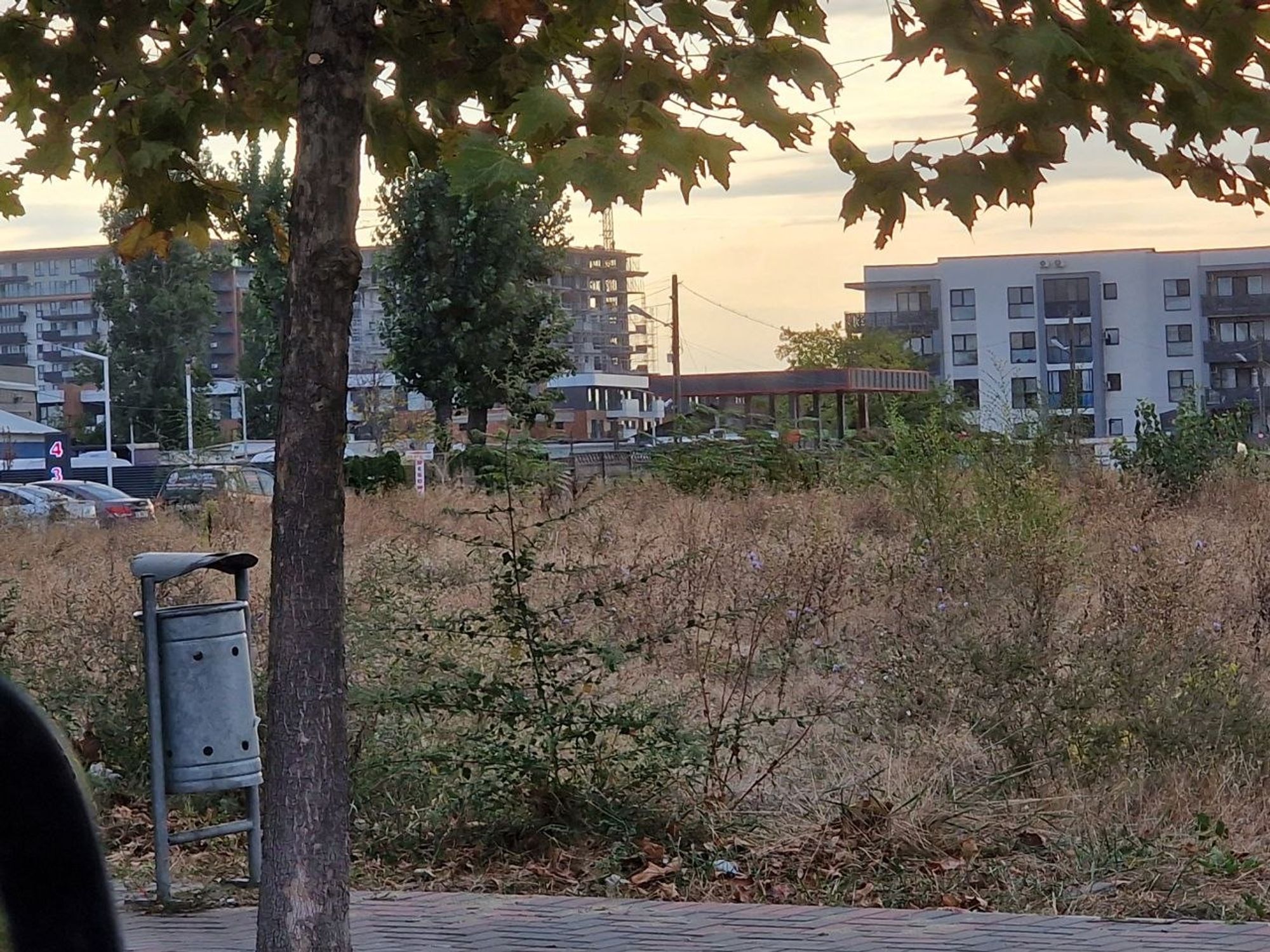 Ambrozie in Drumul Gura Făgetului 157, București, Municipiul București - 5924931209475591777.jpg