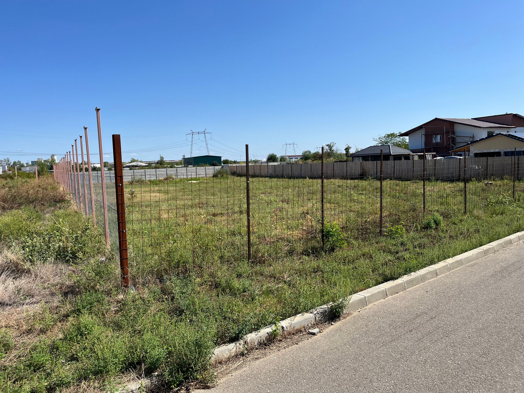 Ambrozie in Strada Mărășești 7, Bolintin-Deal, Comună Bolintin-deal, Județul Giurgiu - IMG_0646.jpeg