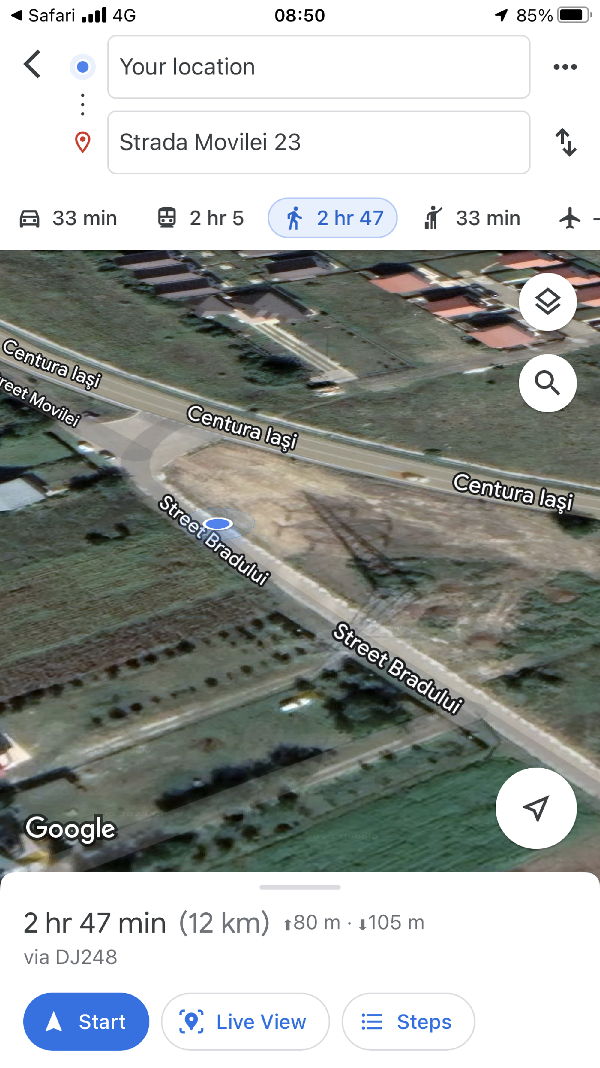 Ambrozie in Centura Iași 5, Comuna Miroslava, Județul Iași - D50D3A58-1819-4760-AD1A-CB66C8A37977.png