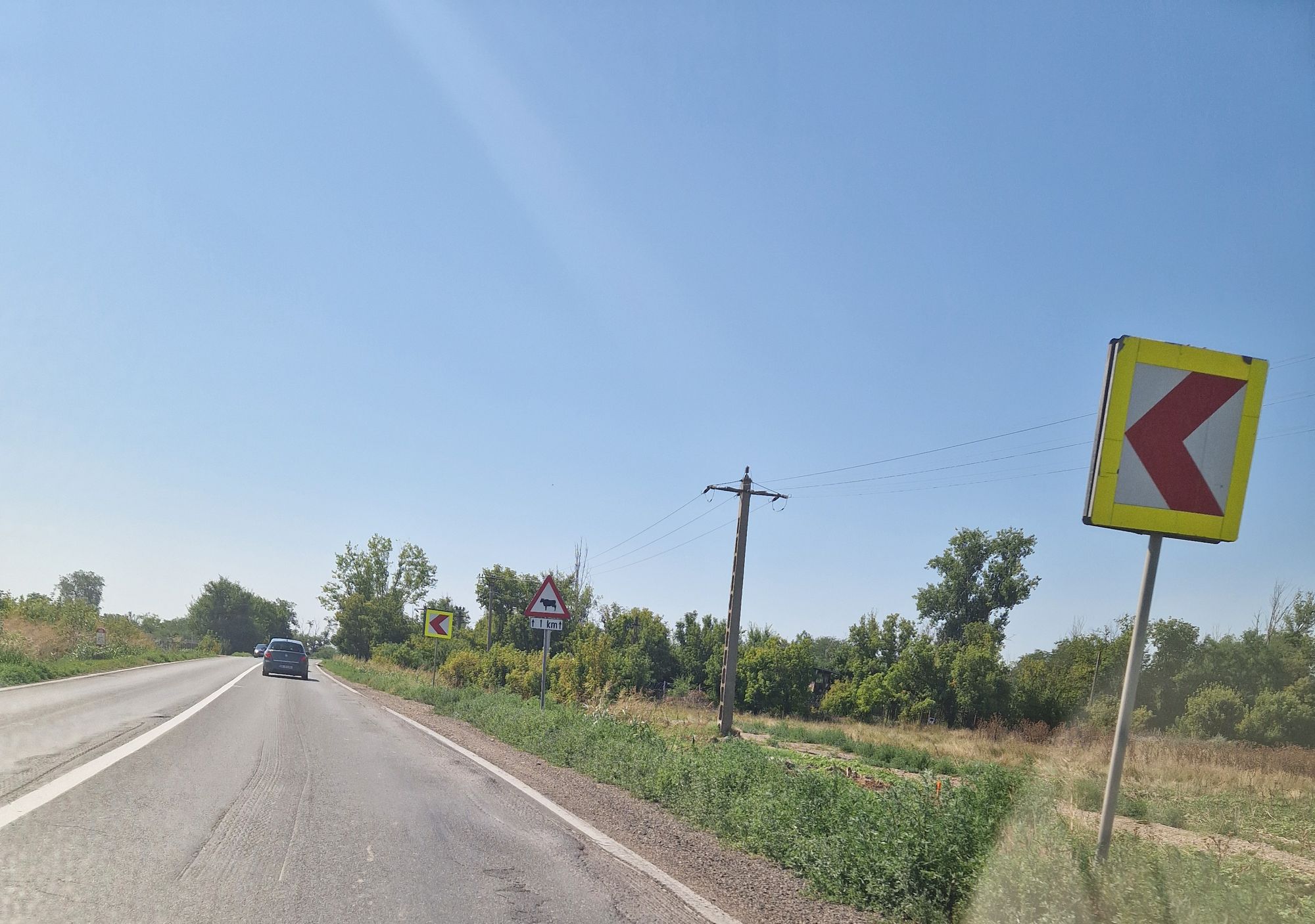 Ambrozie in Cazasu, Comuna Cazasu, Județul Brăila