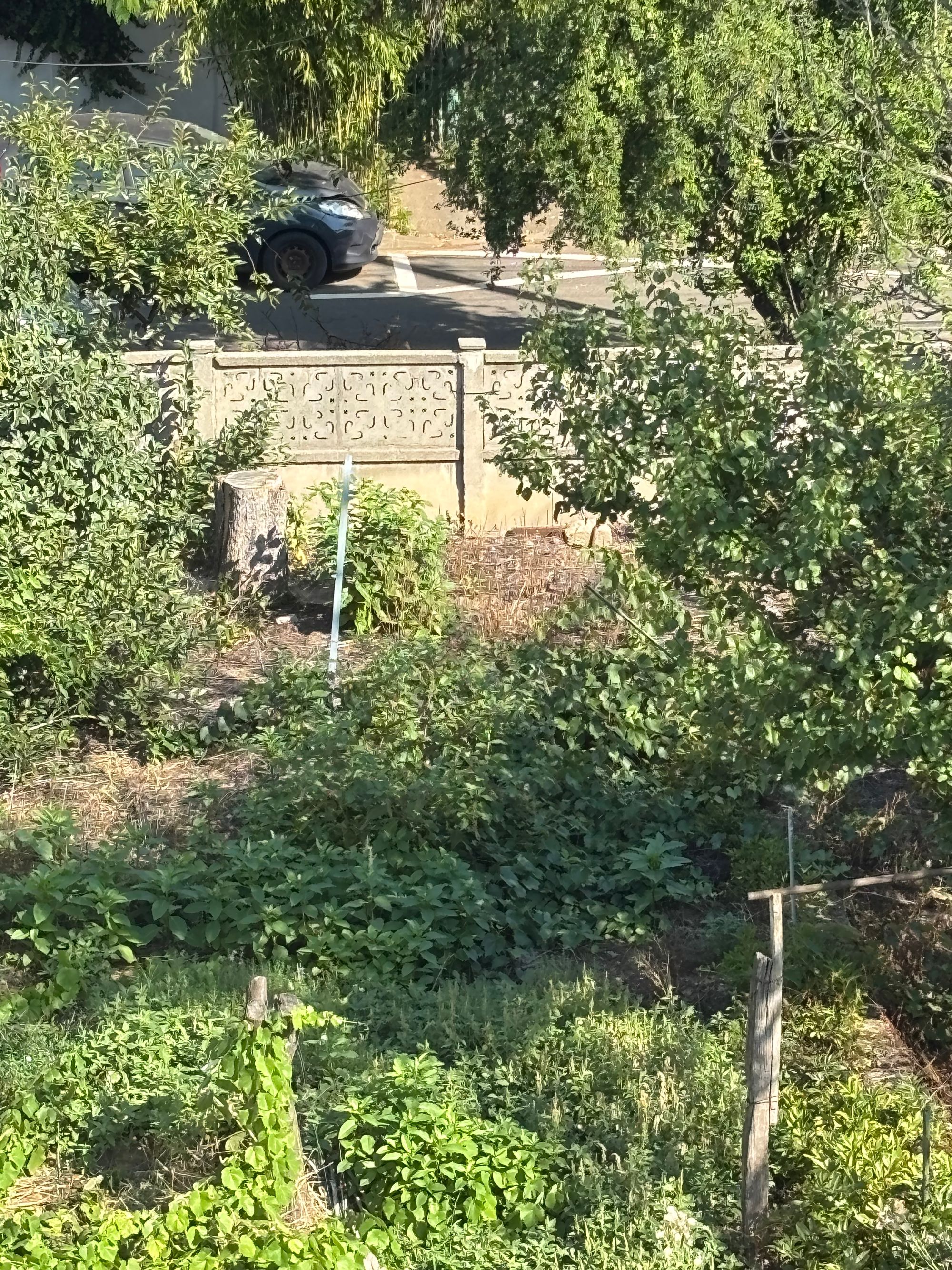 Ambrozie in Strada Alexandru Lăpușneanu 72, București, Municipiul București