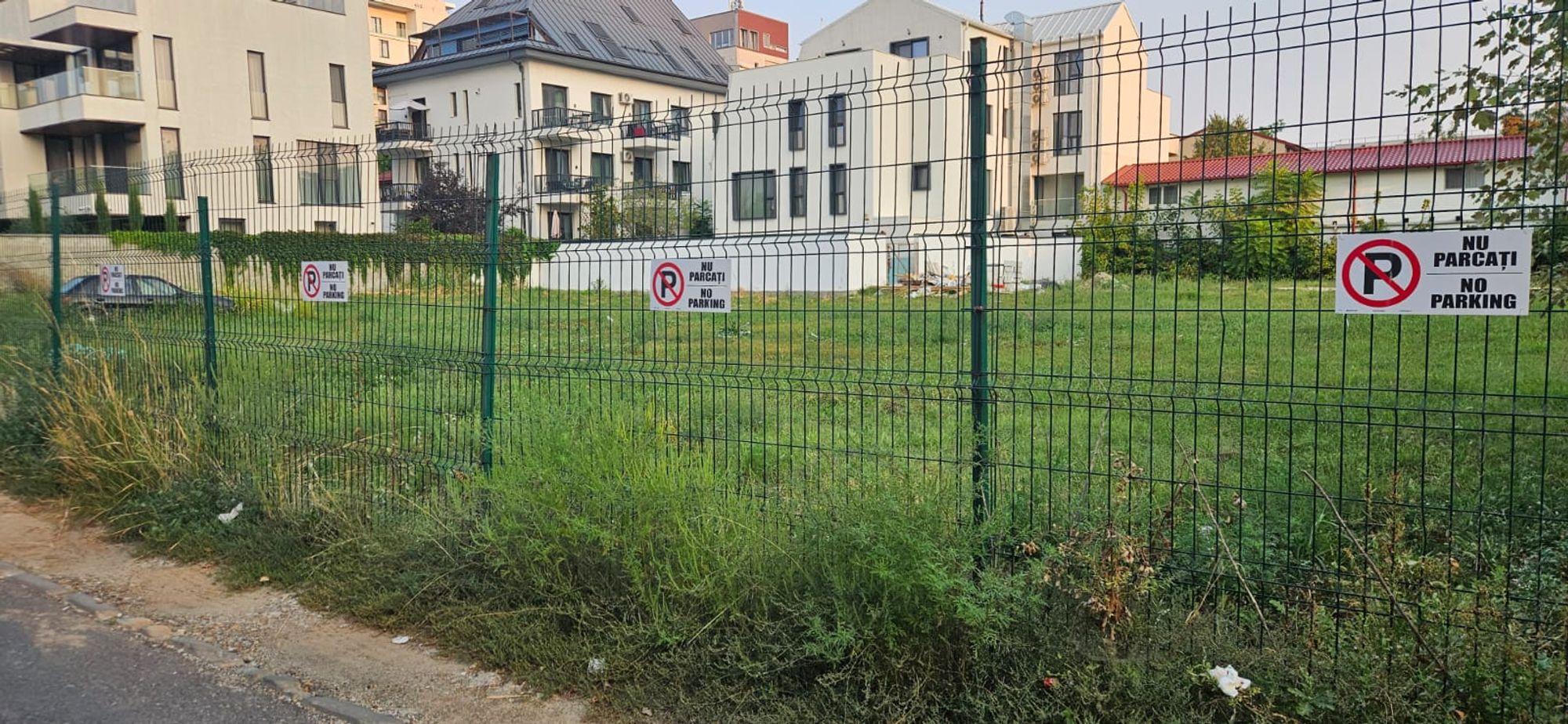 Ambrozie in Intrarea Moeciu 5, București, Municipiul București