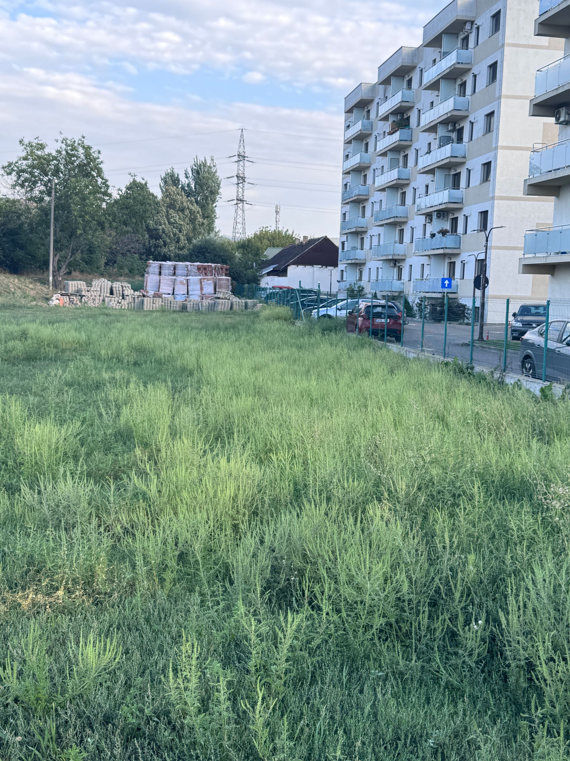 Ambrozie in Strada Trei Fântâni 6A, Iași, Municipiu Iași, Județul Iași - IMG_4649.jpeg