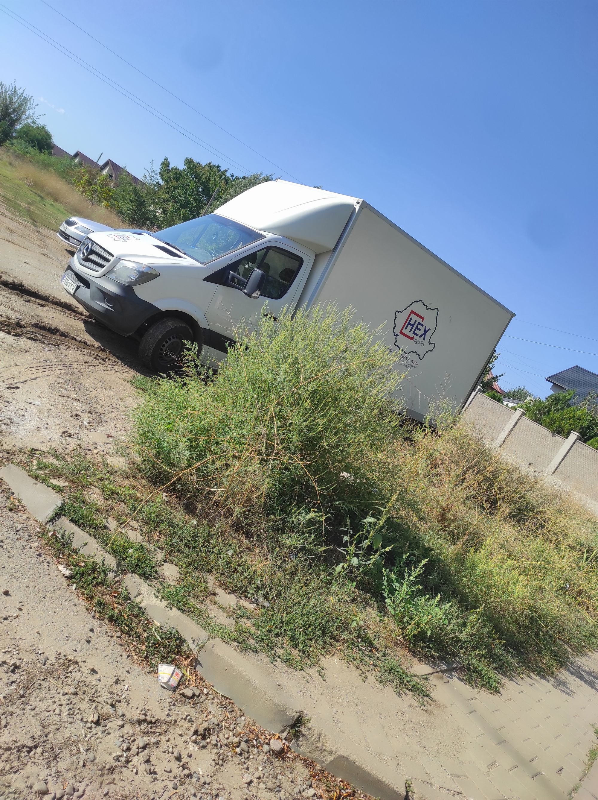 Ambrozie in Strada Vântului 1, Lunca Cetățuii, Comuna Ciurea, Județul Iași - IMG_20250914_101841.jpg