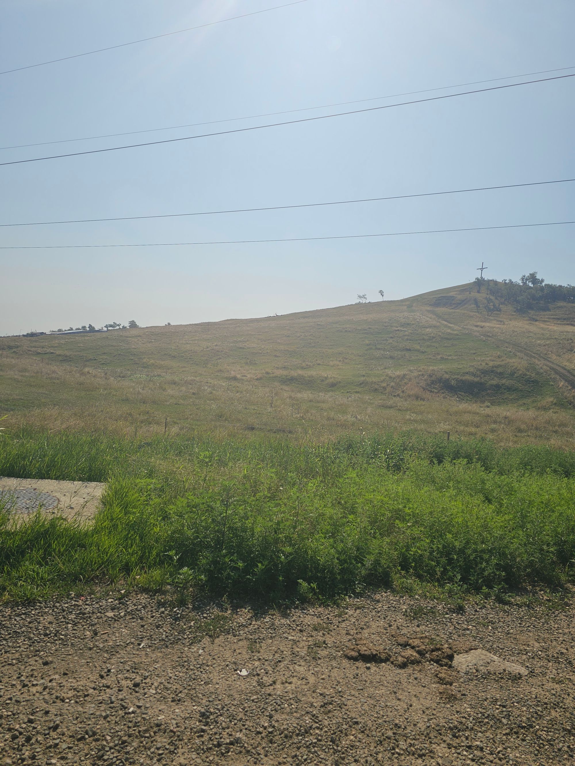 Ambrozie in Strada Holm 2, Lețcani, Comuna Lețcani, Județul Iași - 20250808_102126.jpg