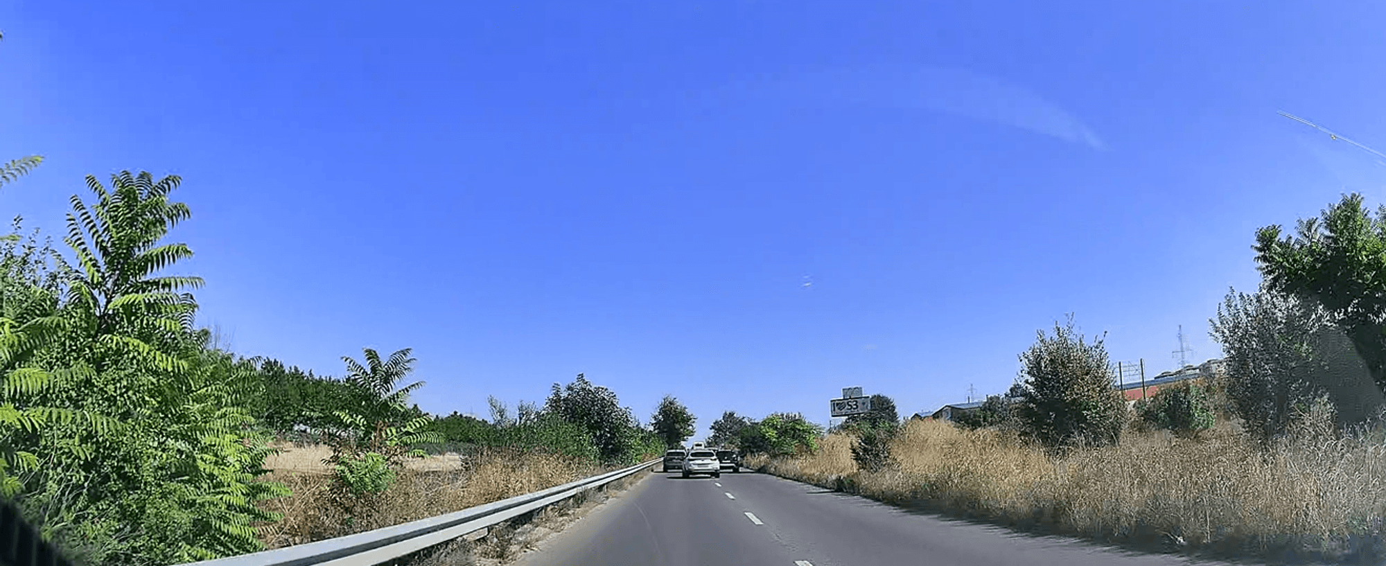 Ambrozie in București, Municipiul București - image (3).png