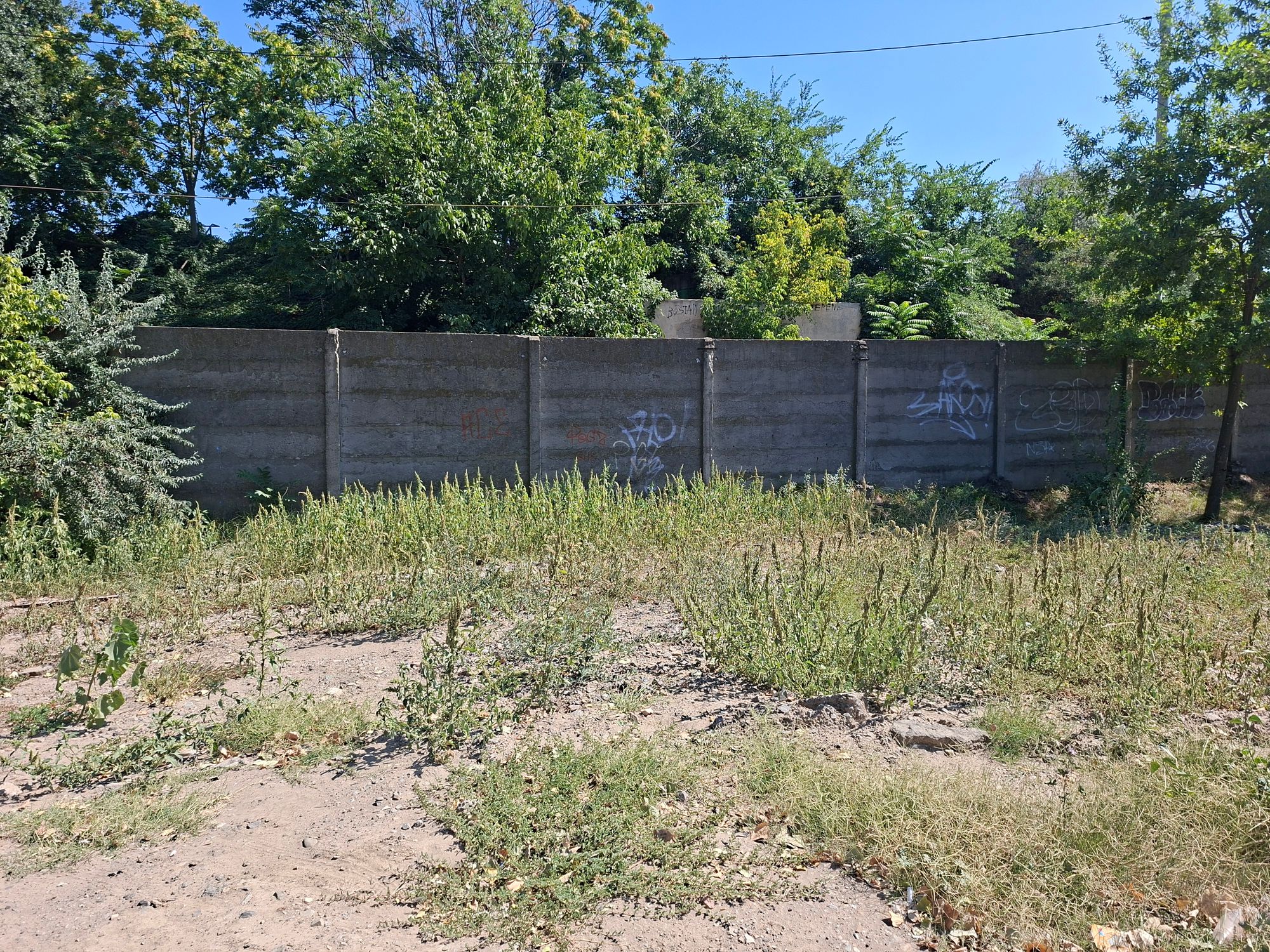 Ambrozie in Strada Dorului 66, Brăila, Municipiu Brăila, Județul Brăila - 17553450890538736862054386134314.jpg