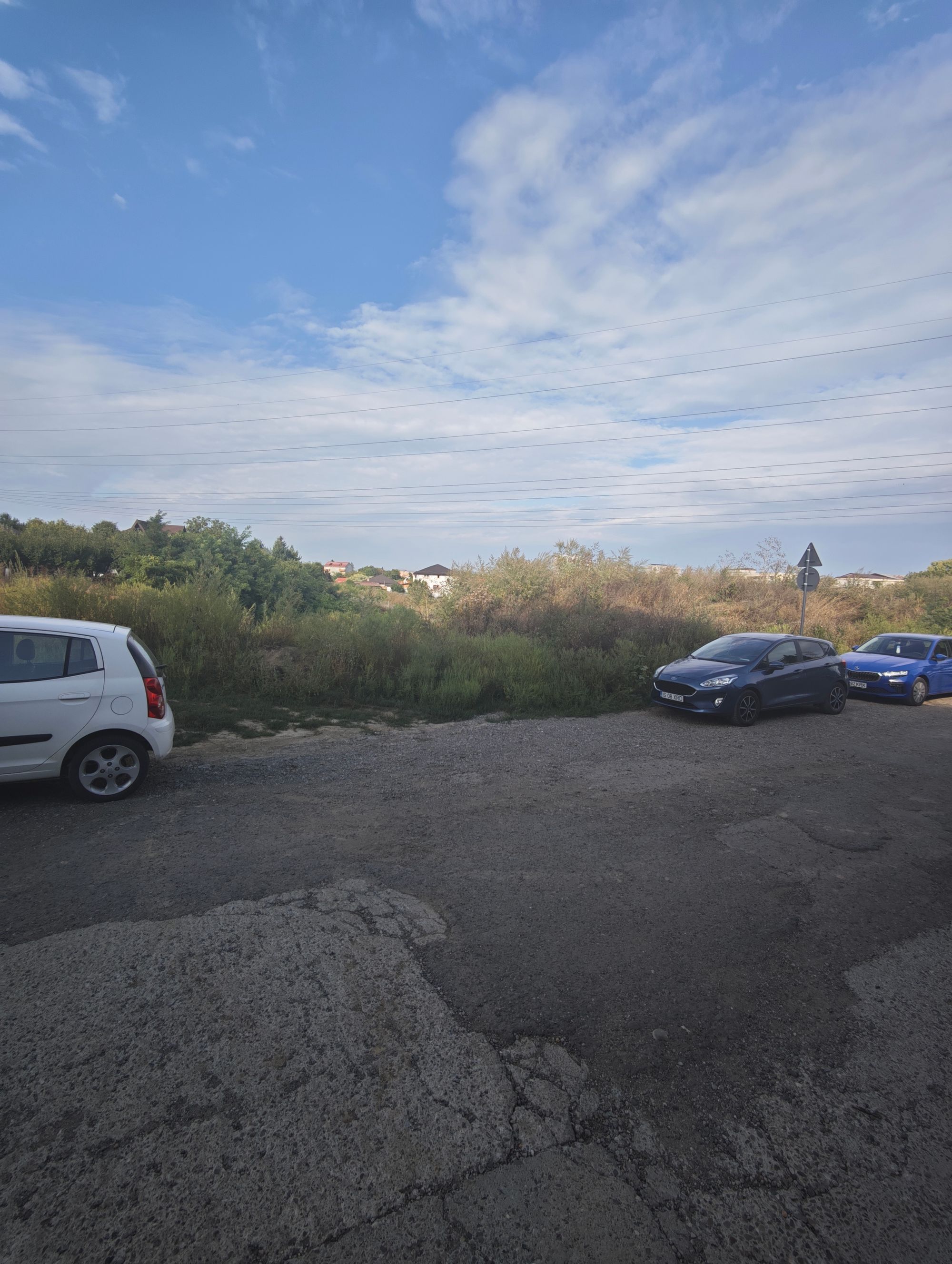 Ambrozie in Strada Profesor Emil Honoriu 3, Iași, Municipiu Iași, Județul Iași