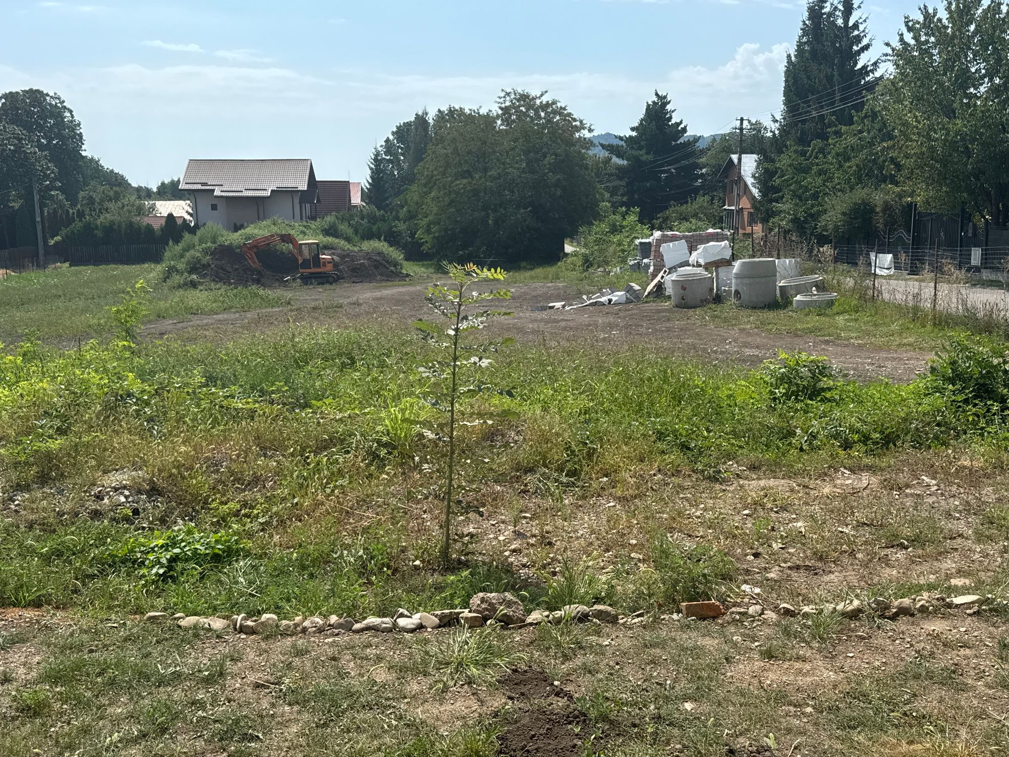 Ambrozie in Strada Fagilor 7, Breaza de Sus, Oraș Breaza, Județul Prahova