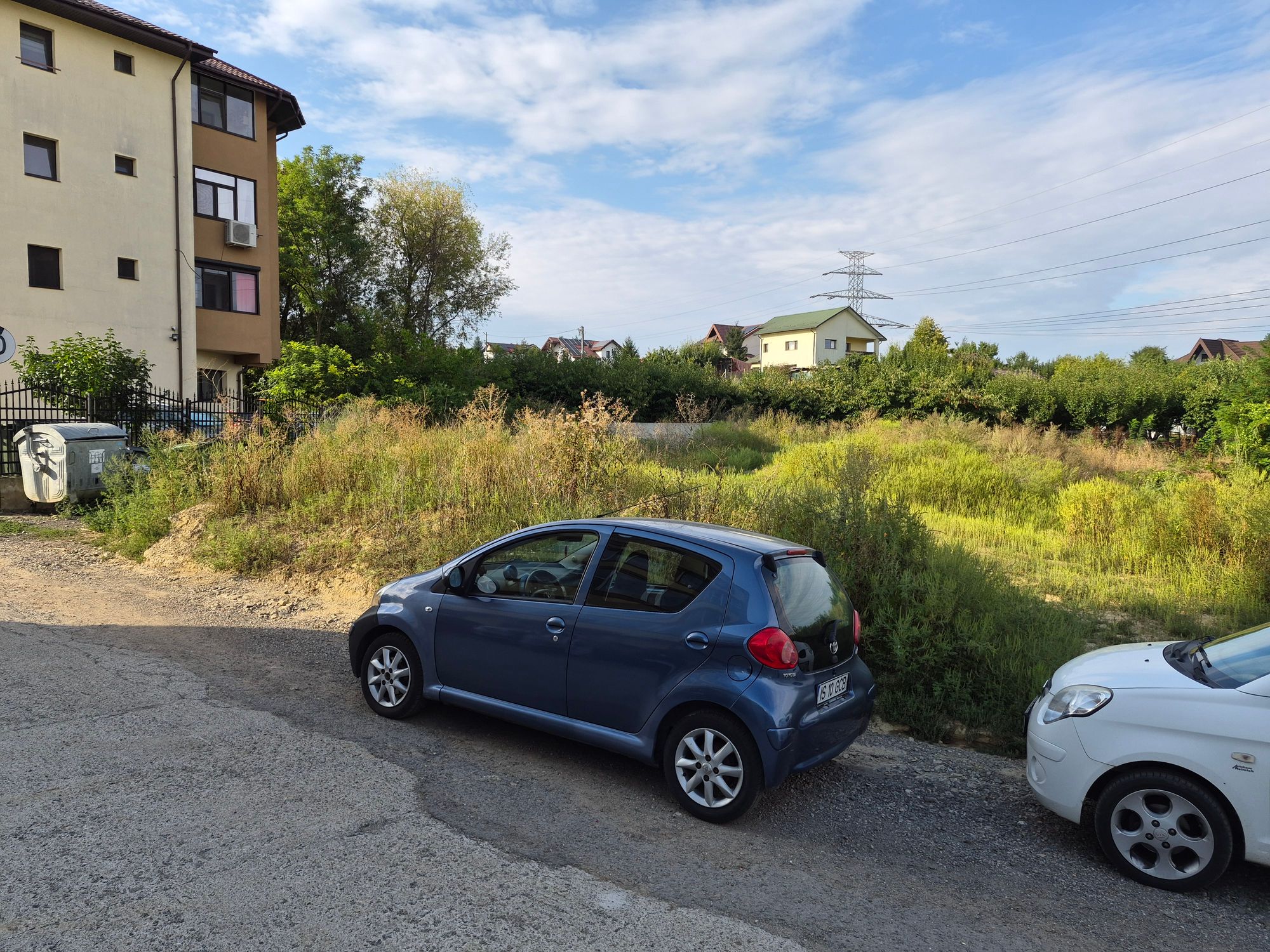 Ambrozie in Strada Profesor Emil Honoriu 1, Iași, Municipiu Iași, Județul Iași