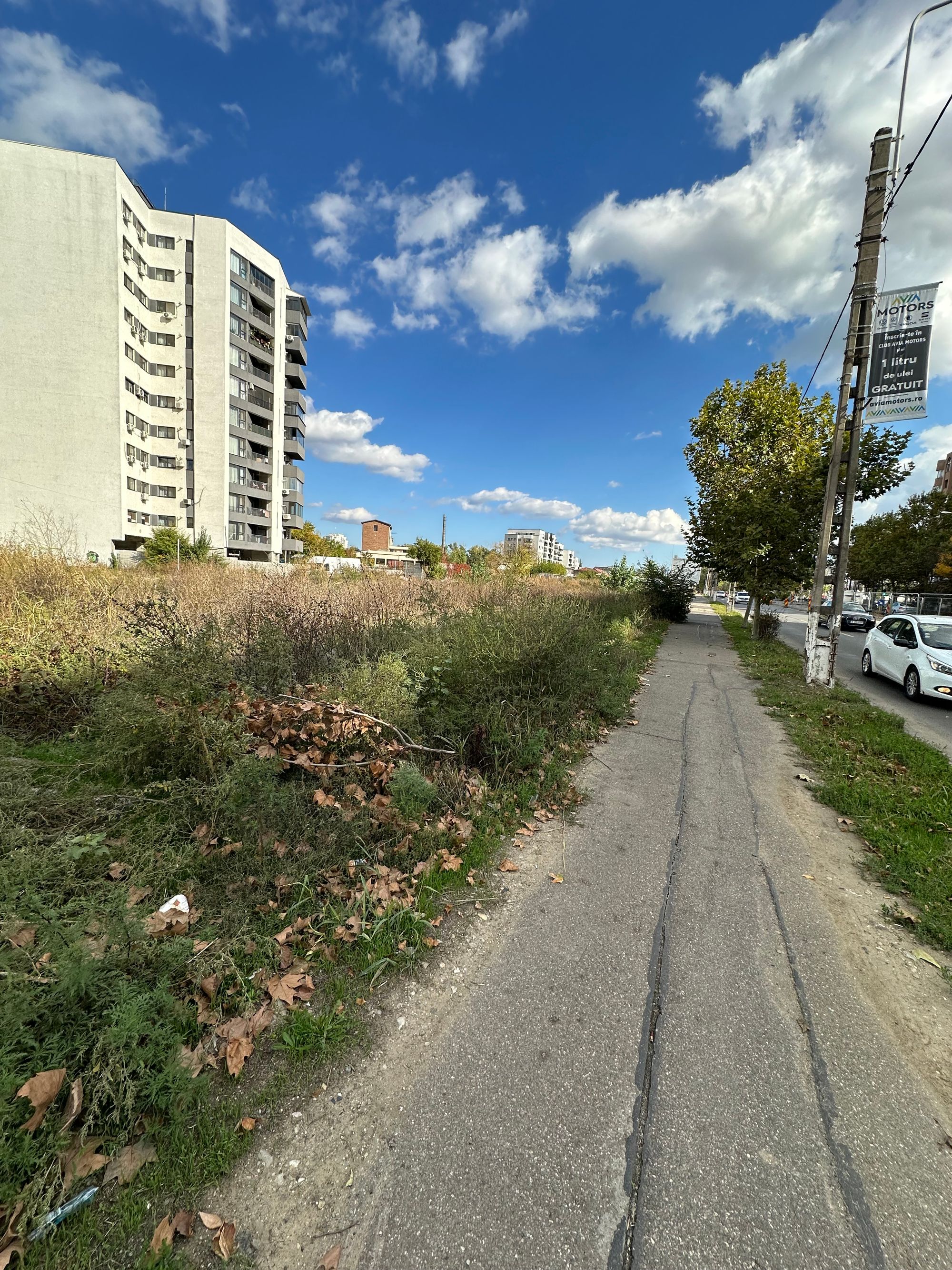 Ambrozie in Bulevardul Basarabia 103, București, Municipiul București