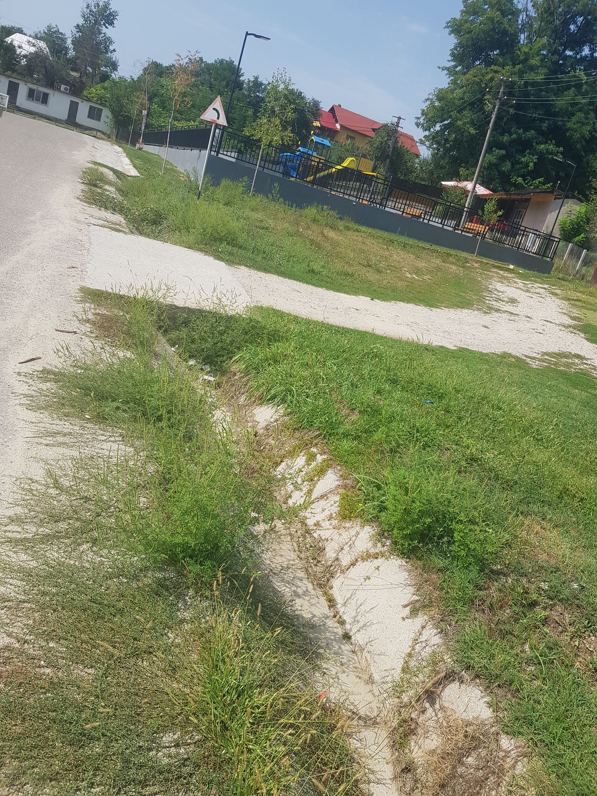 Ambrozie in Strada Surpatele 19, Moşteni, Comuna Frâncești, Județul Vâlcea - 20260829_141813.jpg