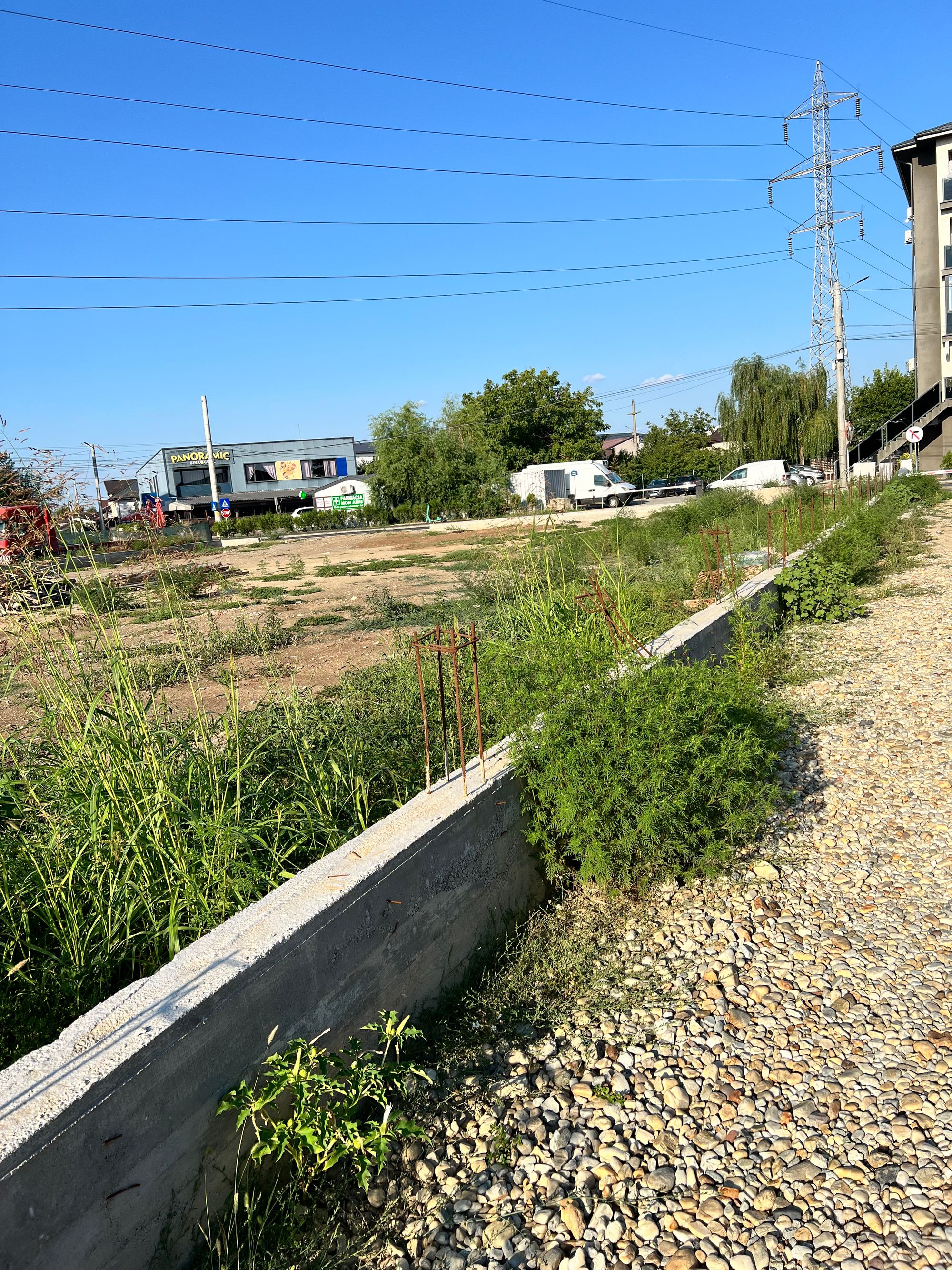 Ambrozie in Strada Acvilei 4, Roșu, Comuna Chiajna, Județul Ilfov - IMG_0604.jpeg