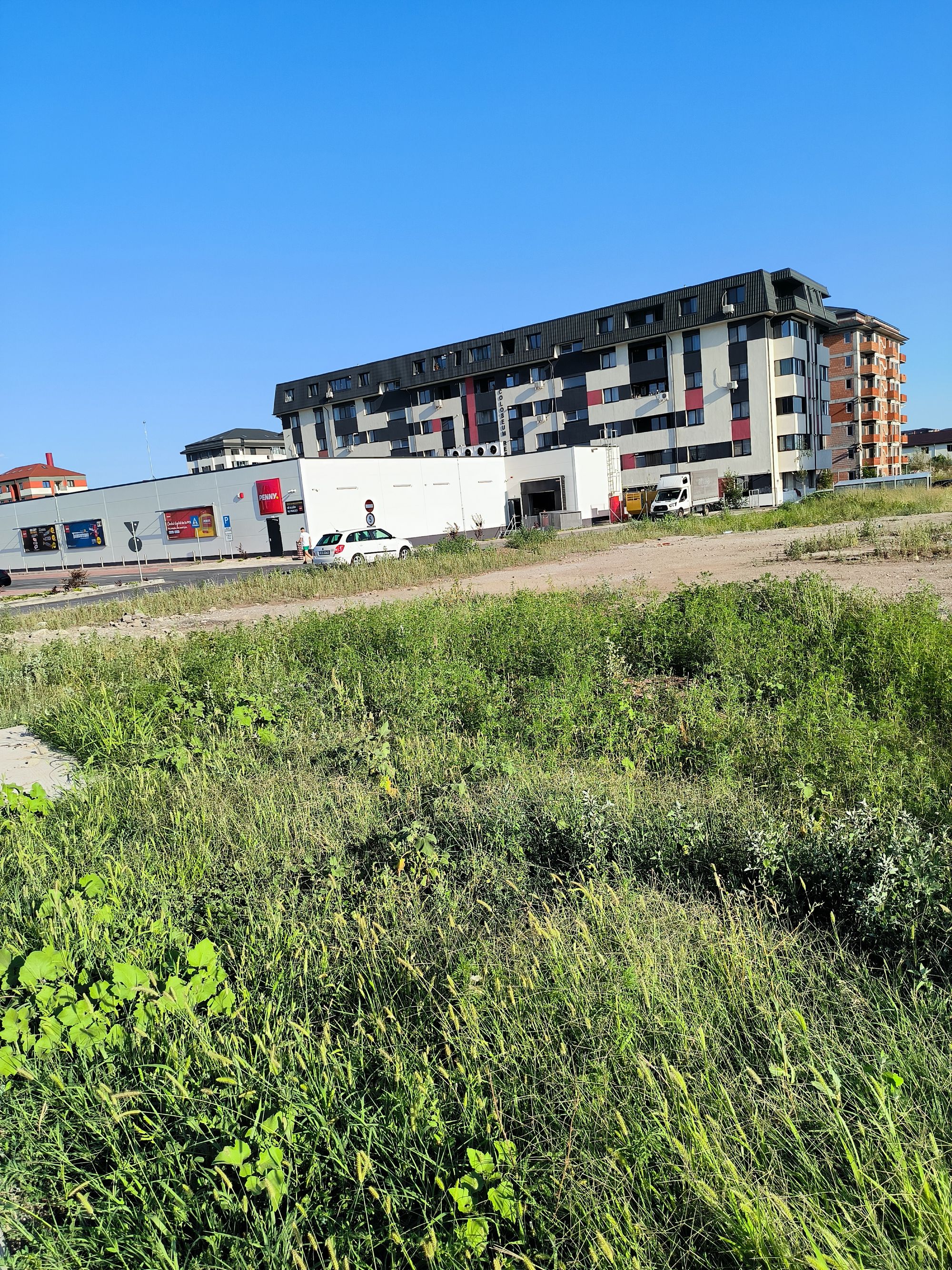 Ambrozie in Strada Sergent Ilie Petre 4, Chiajna, Comuna Chiajna, Județul Ilfov - IMG_20230722_184102.jpg