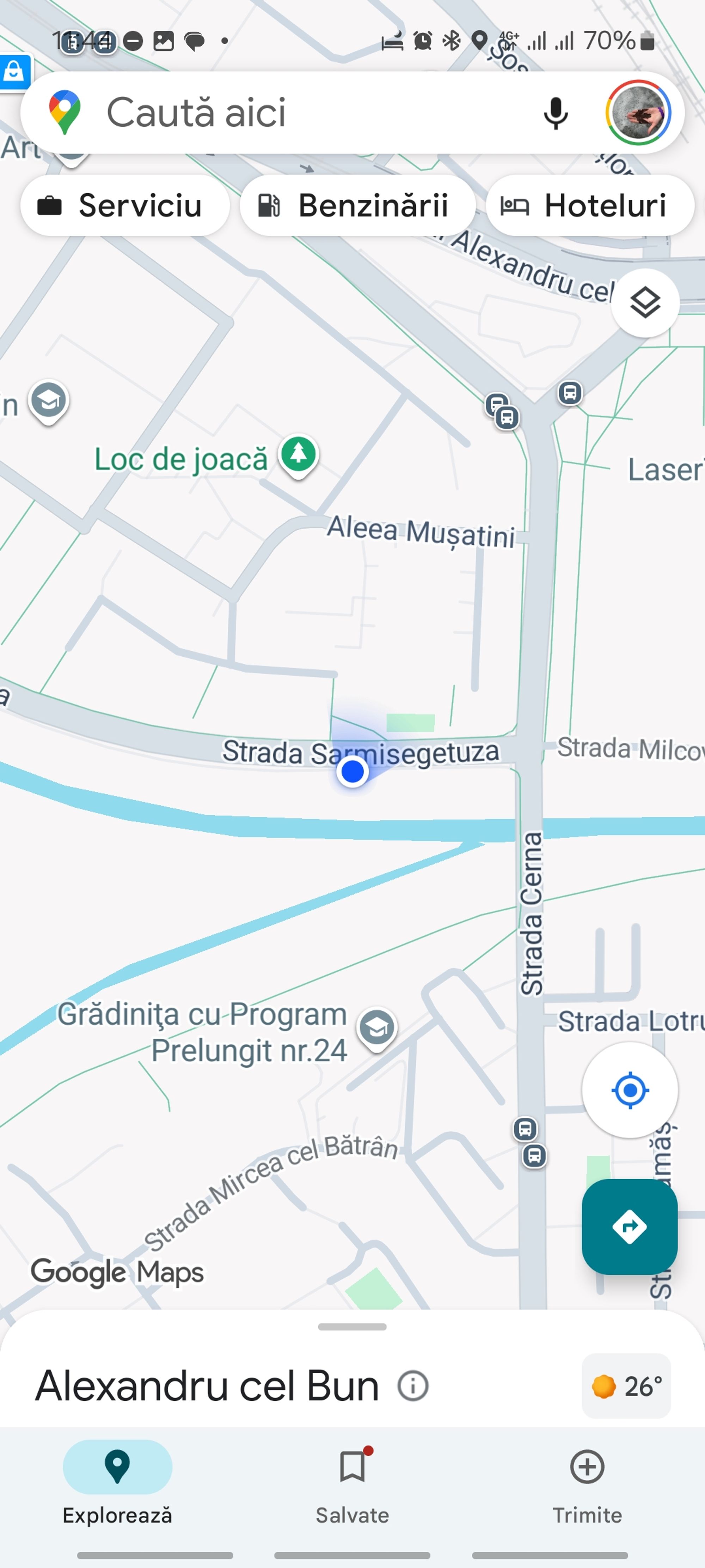 Ambrozie in Aleea Mușatini 3, Iași, Municipiu Iaşi, Județul Iași - 1000079543.jpg