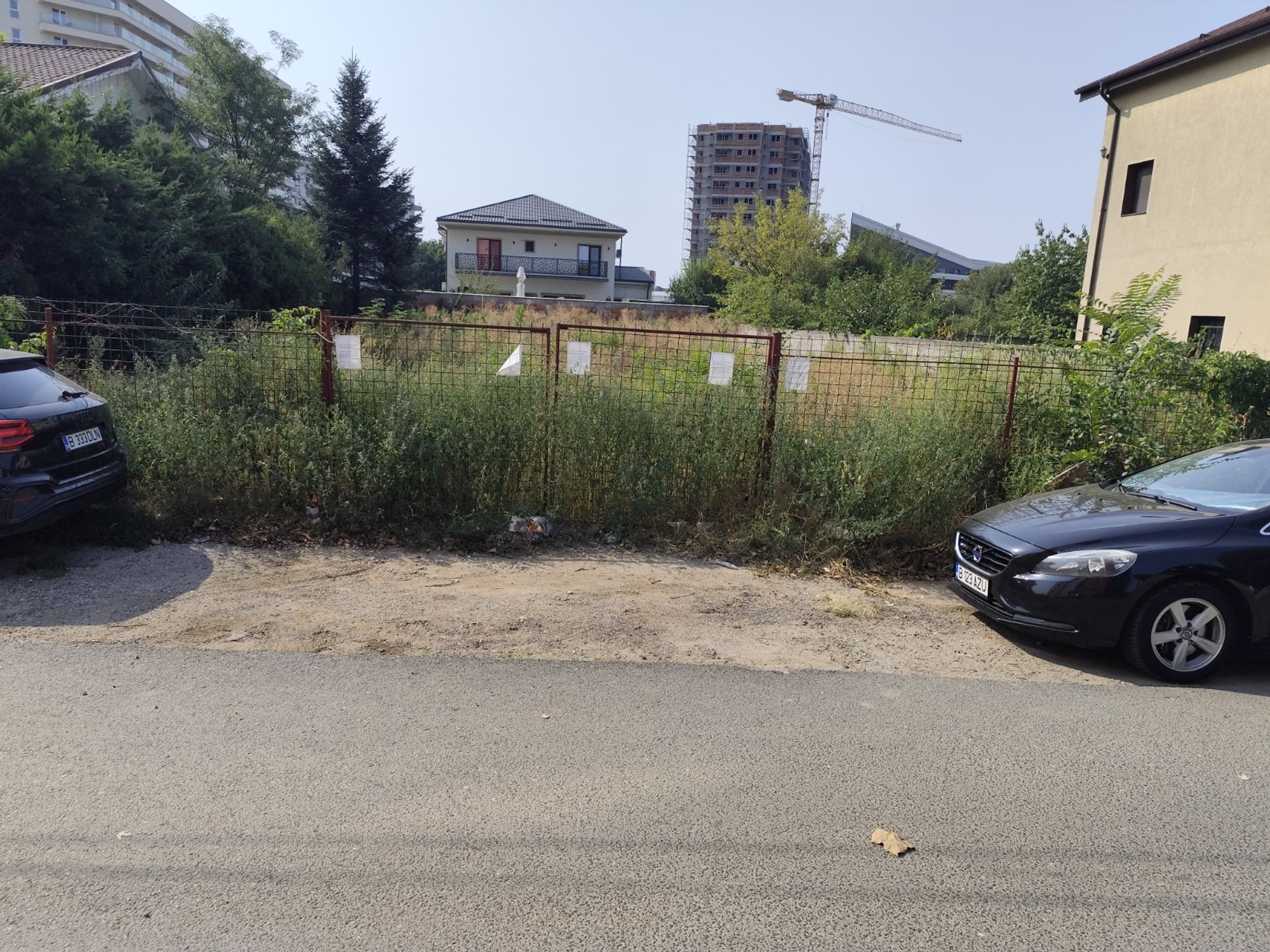 Ambrozie in Drumul Mănăstirea Văratec 8, București, Municipiul București
