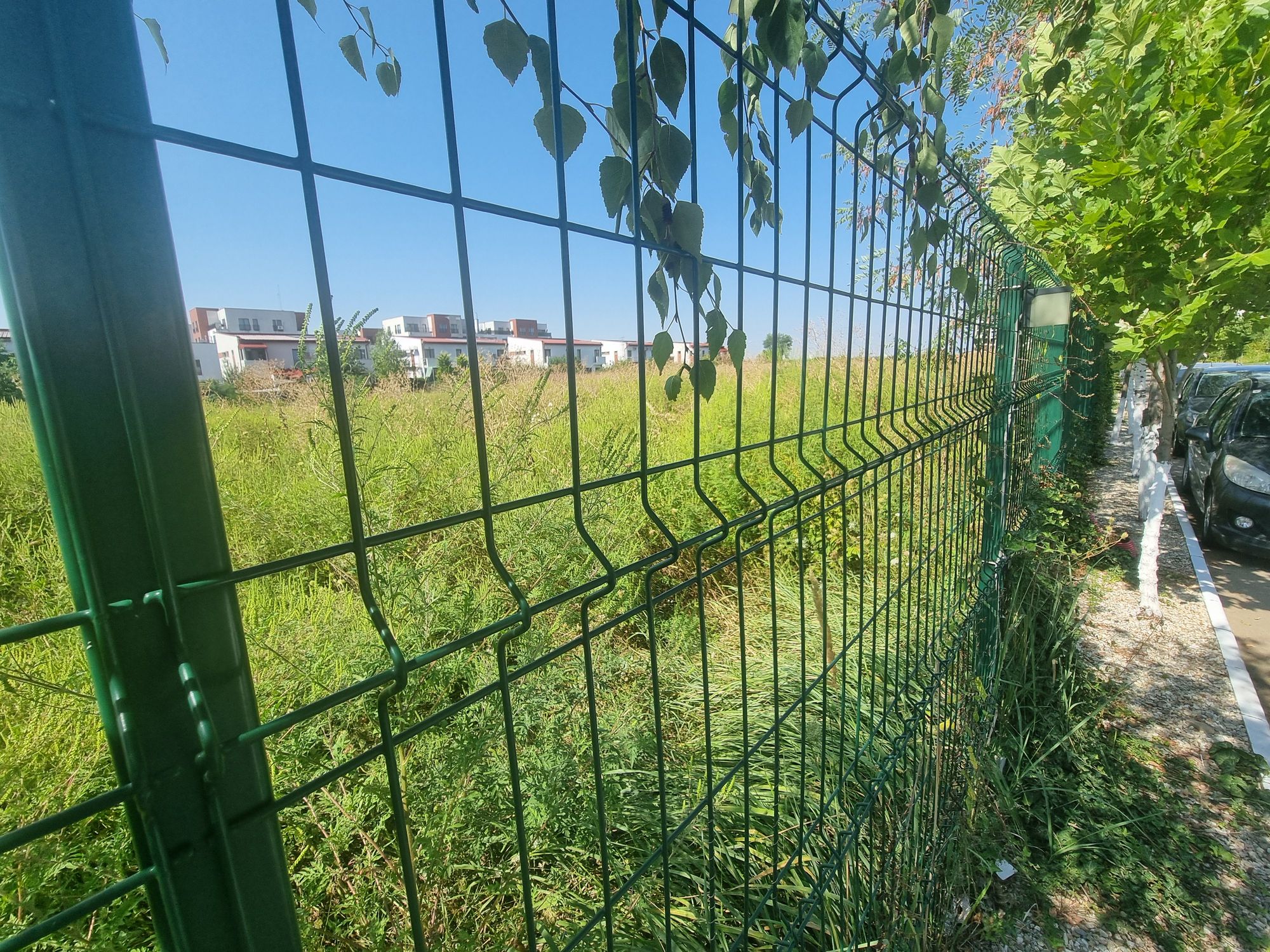 Ambrozie in Aleea Smaraldului 7, Ploieștiori, Comuna Blejoi, Județul Prahova - 1000175823.jpg