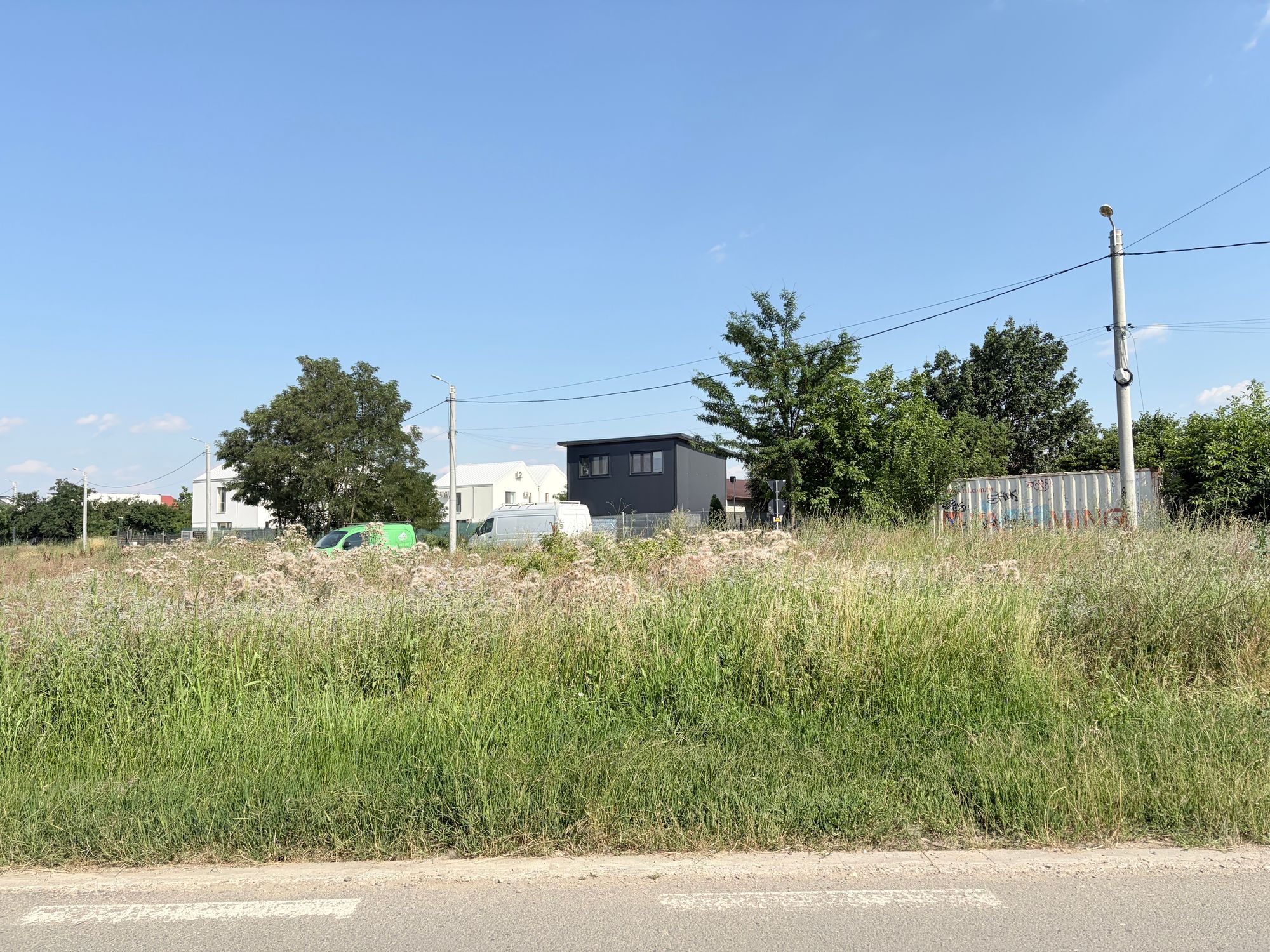 Ambrozie in Otopeni, Oraș Otopeni, Județul Ilfov - IMG_0955.jpeg