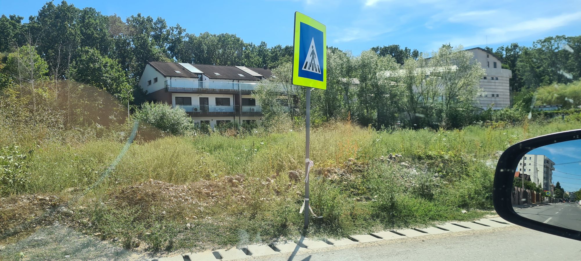Ambrozie in DC163A 54, Pitești, Comuna Moșoaia, Județul Argeș - 20250826_150217.jpg