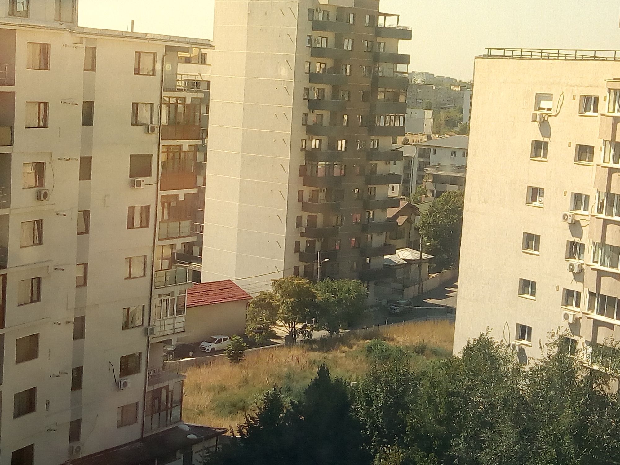 Ambrozie in Strada Grădinarilor 15, București, Municipiul București - P_20230828_115622.jpg