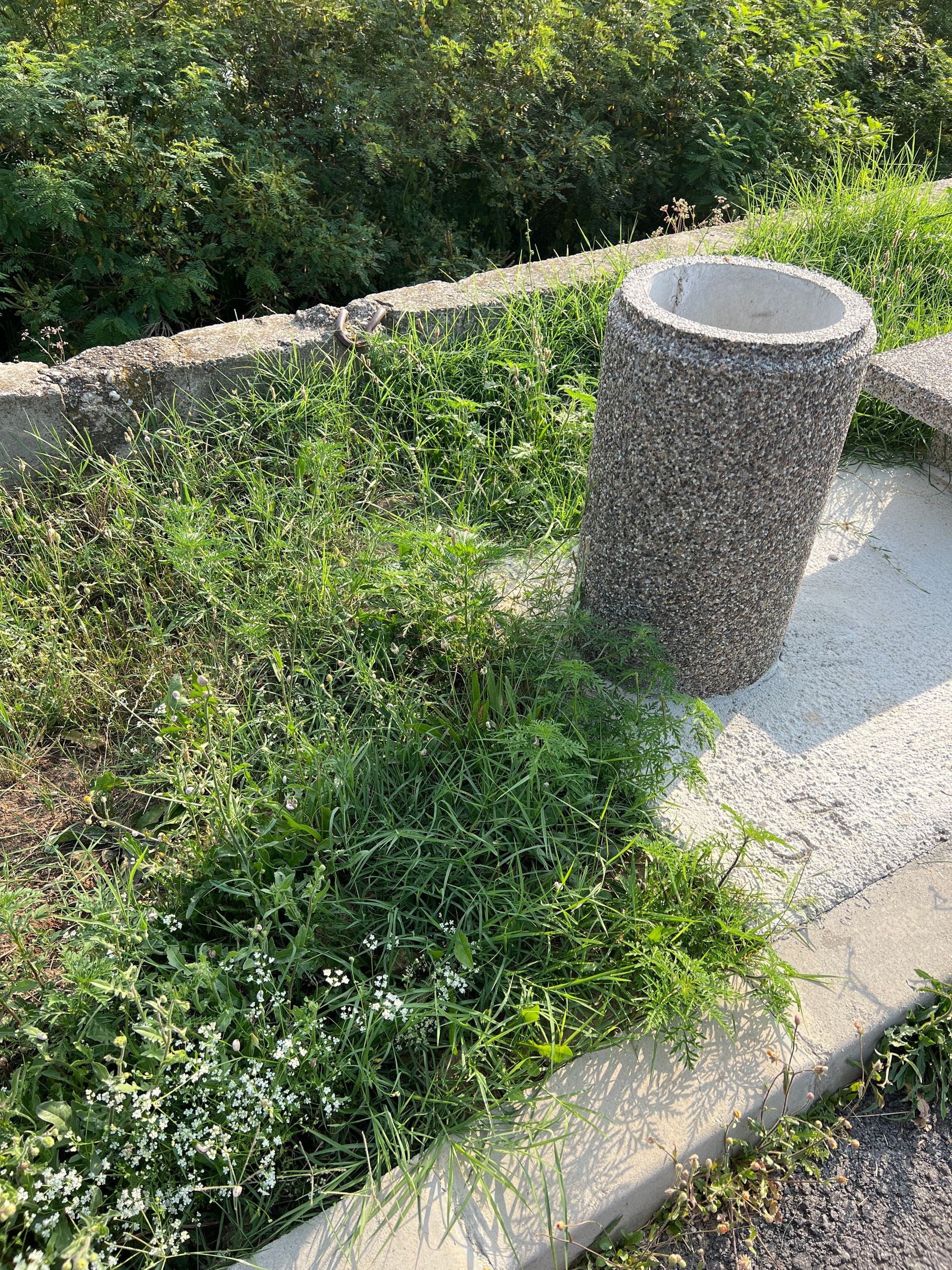 Ambrozie in Bucharest - image.jpg