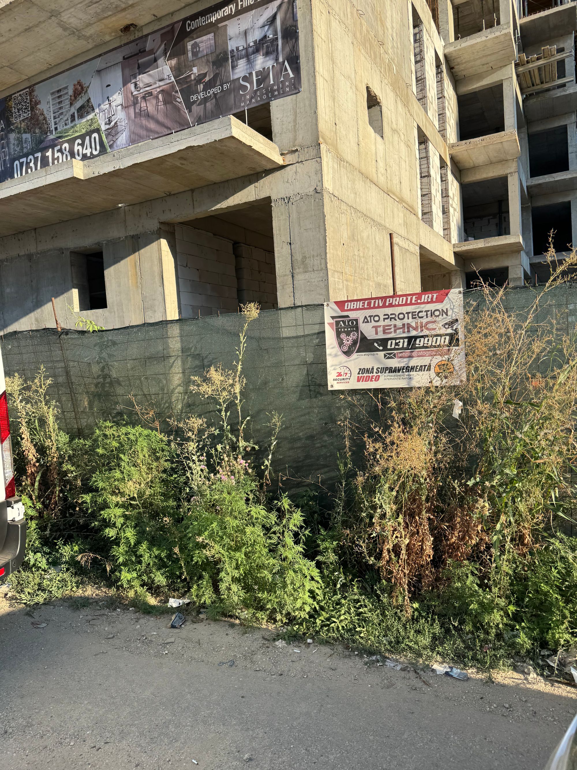 Ambrozie in Șoseaua București Nord 14C, Voluntari, Oraş Voluntari, Județul Ilfov